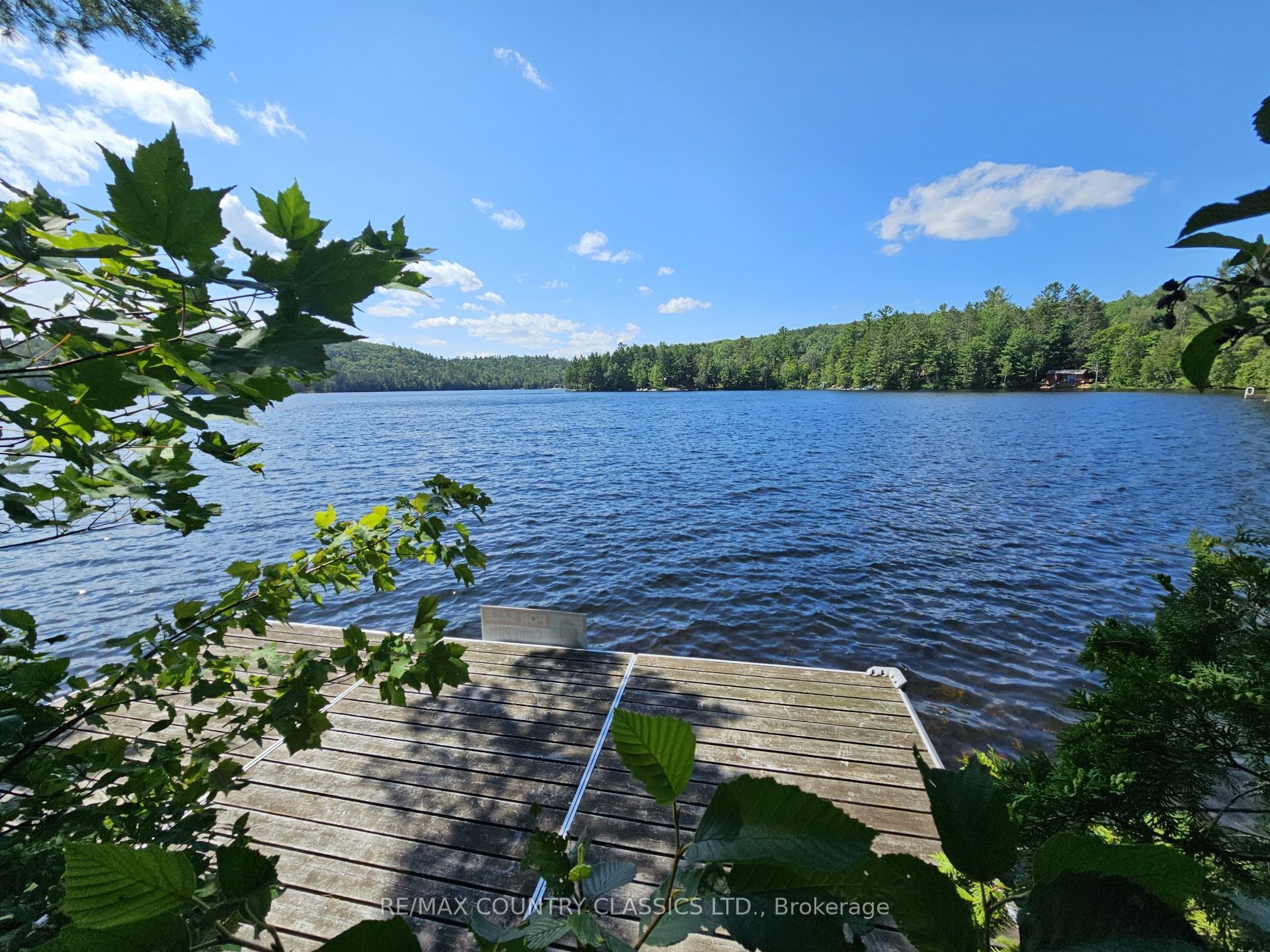 474A Spectacle Lake Road, Madawaska Valley, ON K0J 1B0 photo 4