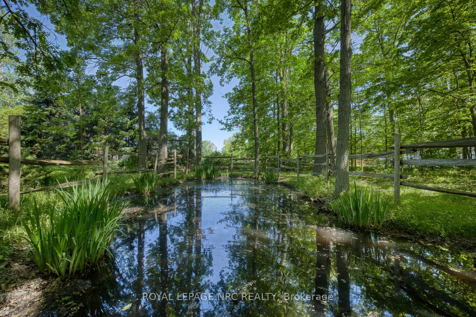 270 Doans Ridge Road, Welland, ON L3B 5N7 photo 4