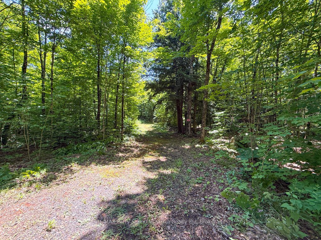 17 White Beaver Trail, McDougall, ON P2A 2W7 photo 2