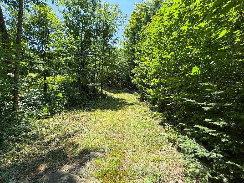 17 White Beaver Trail, McDougall, ON P2A 2W7 photo 3