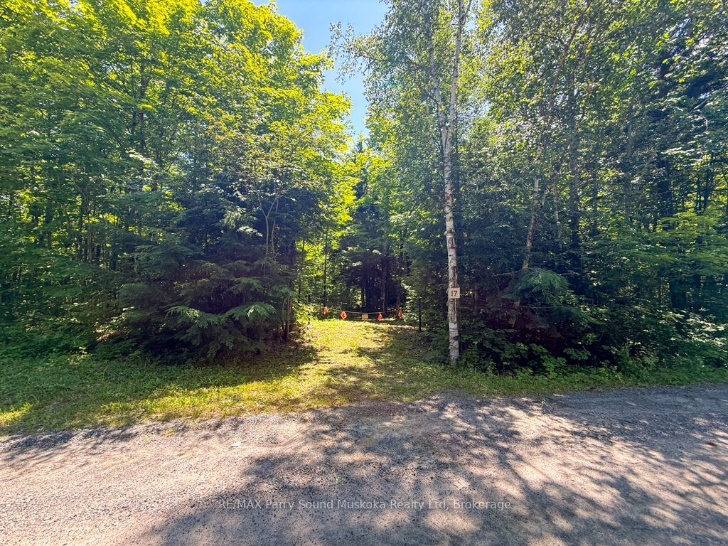 17 White Beaver Trail, McDougall, ON P2A 2W7 photo 4