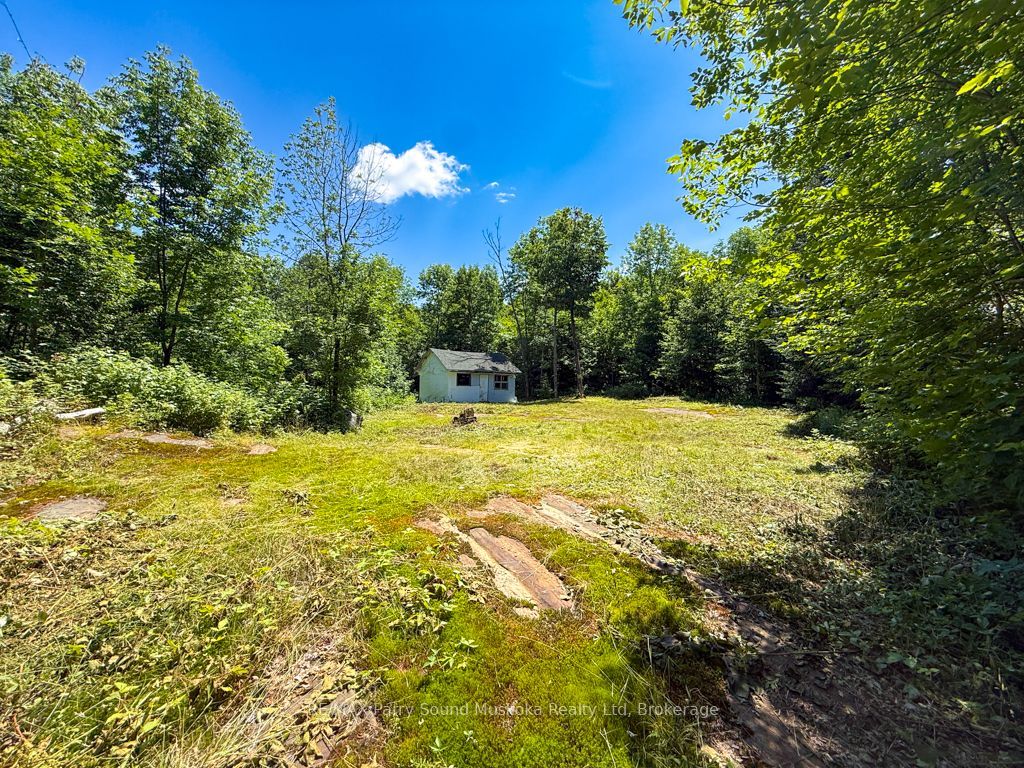 17 White Beaver Trail, McDougall, ON P2A 2W7 photo 5