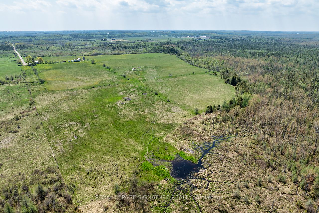 1007 Moor Road, Kawartha Lakes, ON K0M 2T0 photo 4