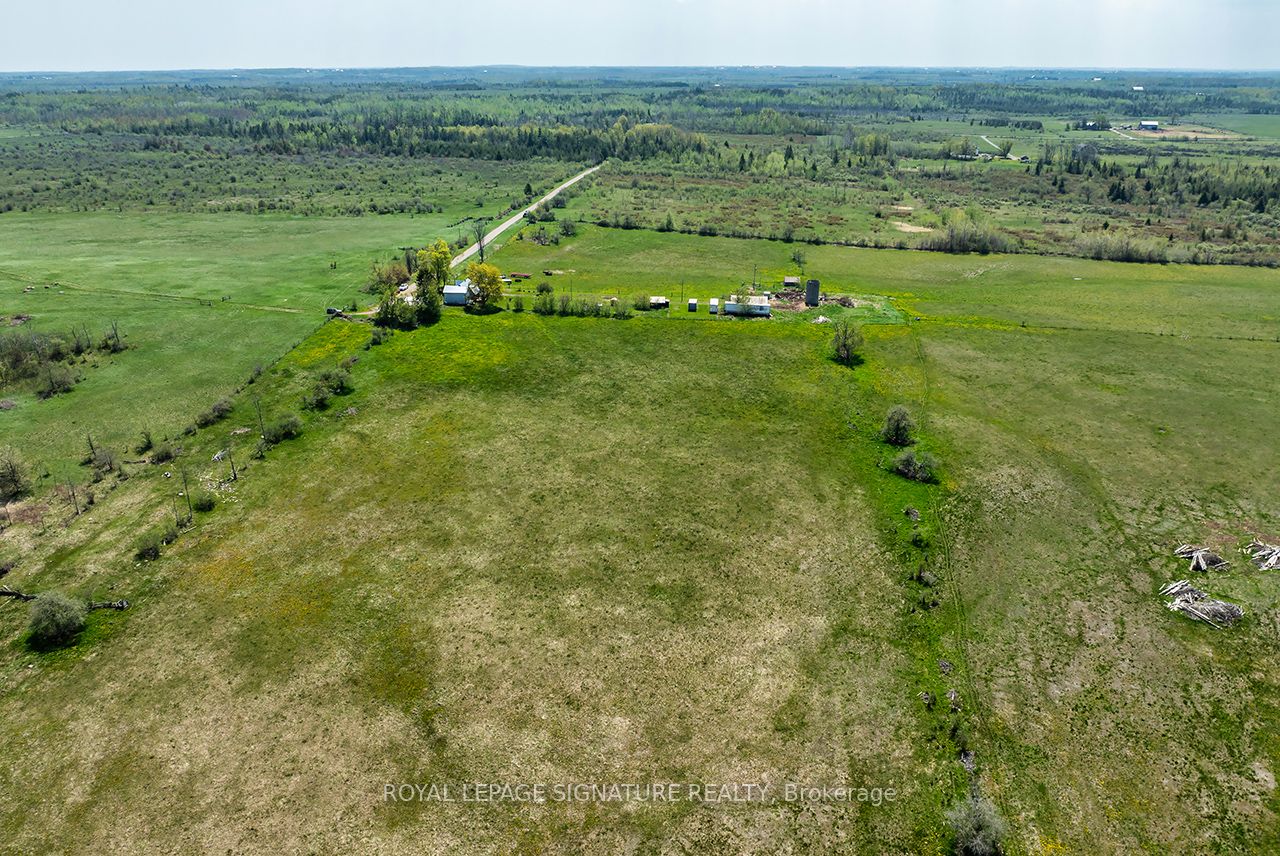 1007 Moor Road, Kawartha Lakes, ON K0M 2T0 photo 5