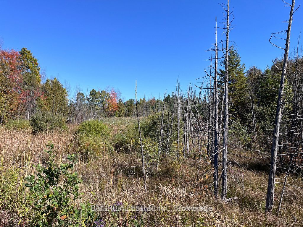 00 KOA Road, Marmora and Lake, ON K0K 2M0 photo 2