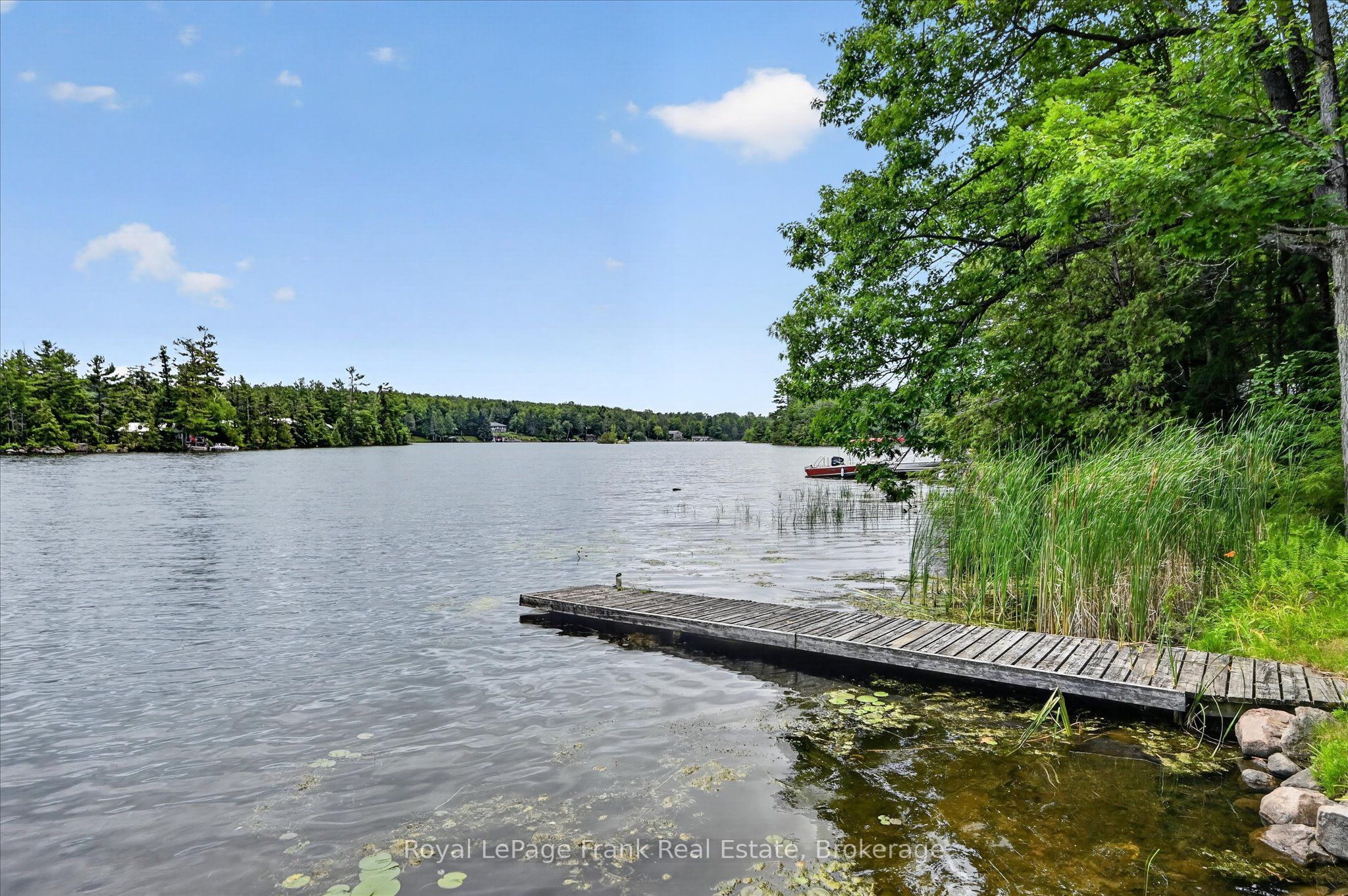 442 Island 7 Stoney Lake N/A, Douro-Dummer, ON K0L 2H0 photo 5
