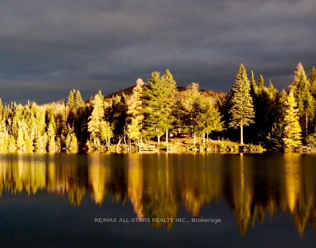 213 Connemara Lane, Greater Madawaska, ON K0J 2R0 photo 2