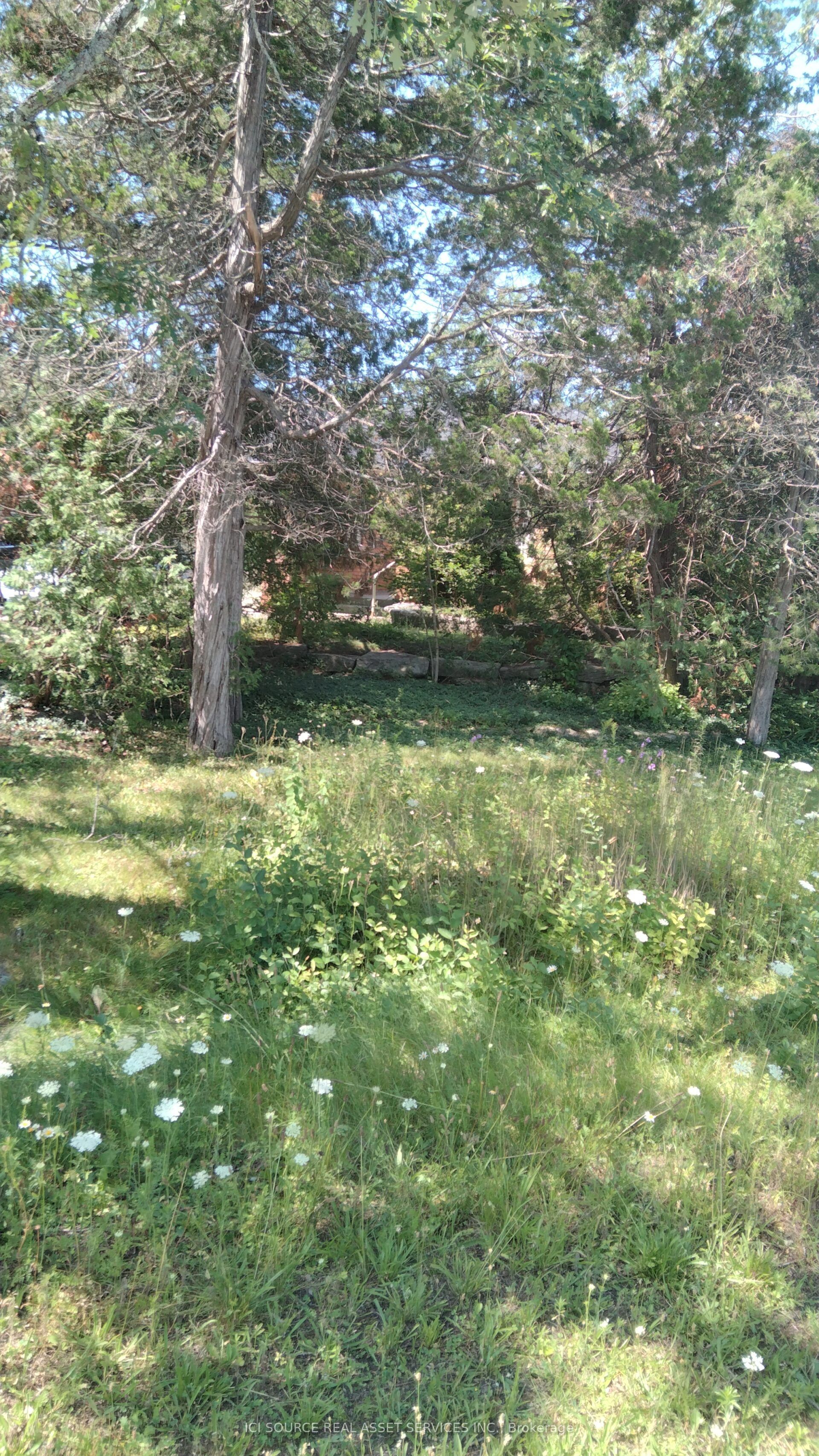 87 Navigators Trail, Kawartha Lakes, ON K0M 1A0 photo 4