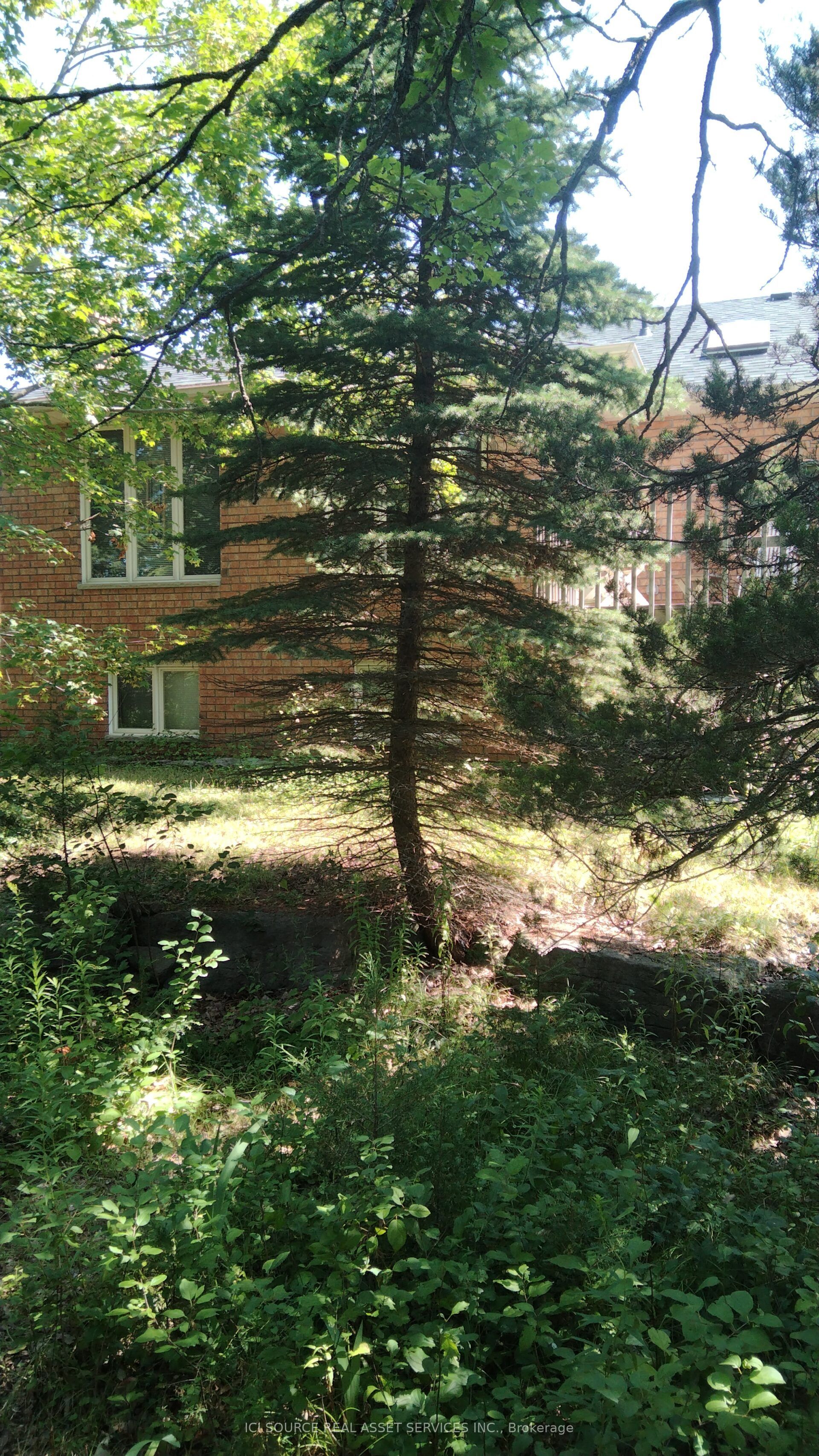 87 Navigators Trail, Kawartha Lakes, ON K0M 1A0 photo 5