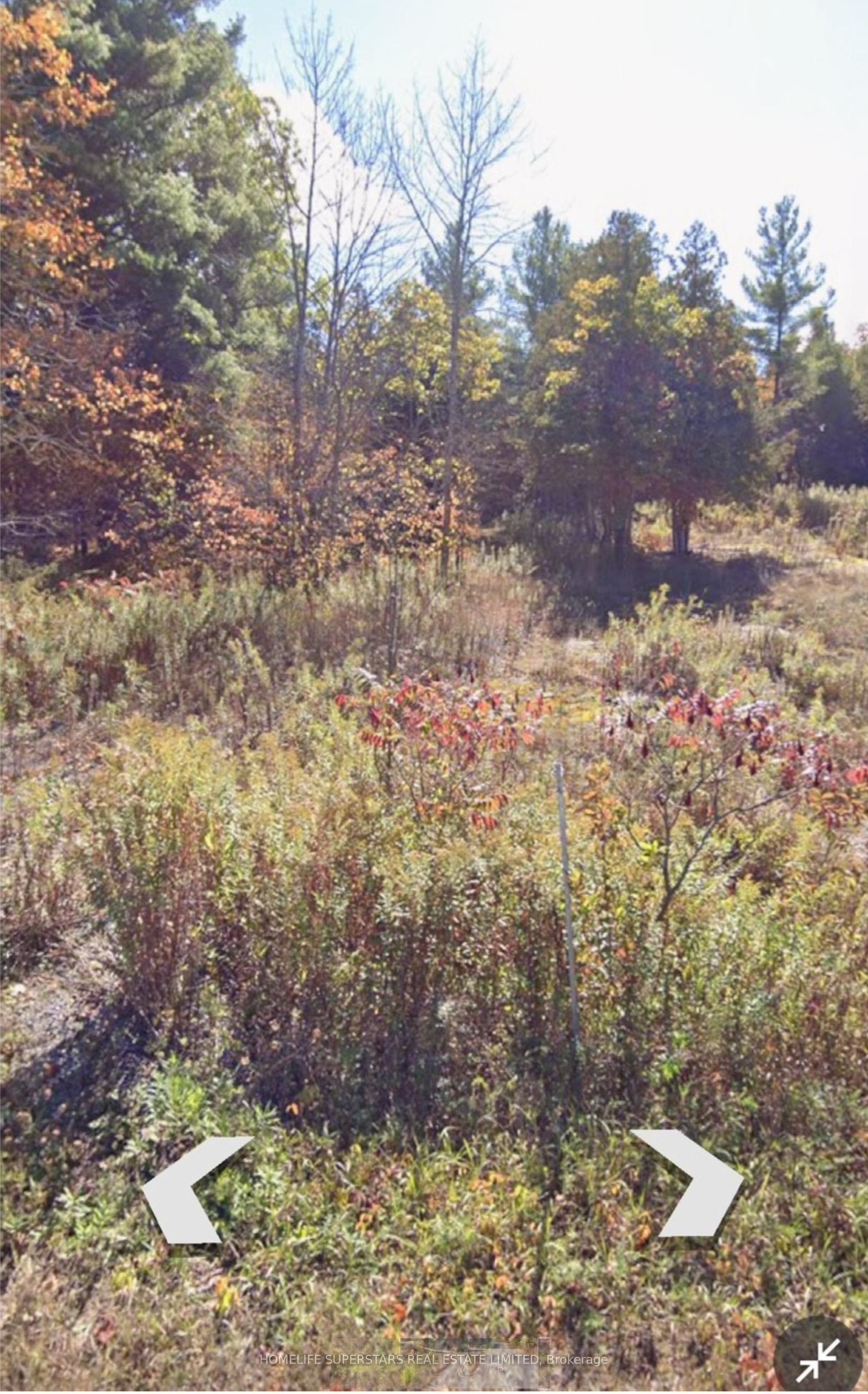 82 Glen Ridge Road, Marmora and Lake, ON K0K 2M0 photo 2