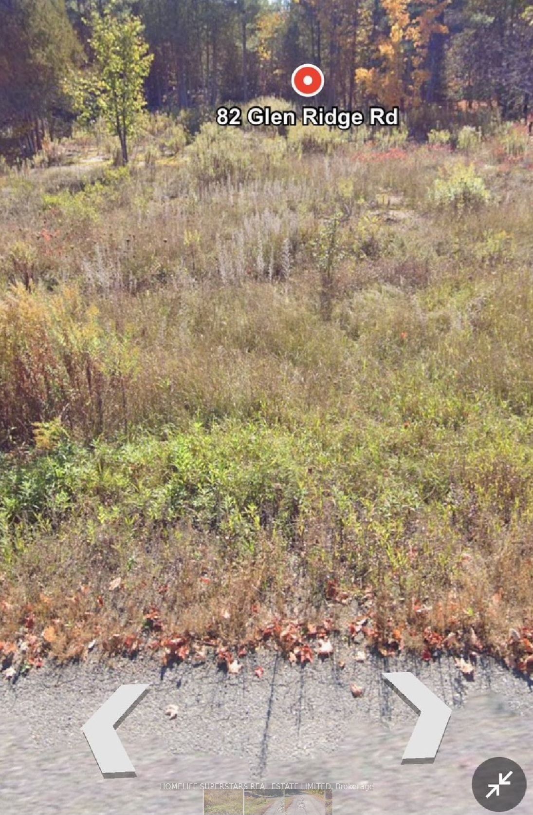 82 Glen Ridge Road, Marmora and Lake, ON K0K 2M0 photo 3