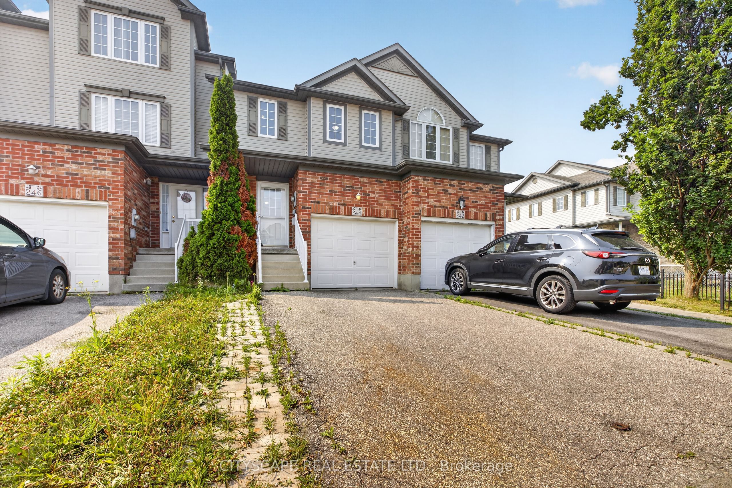 244 Sophia Crescent, Kitchener, ON N2R 1X8 photo 2