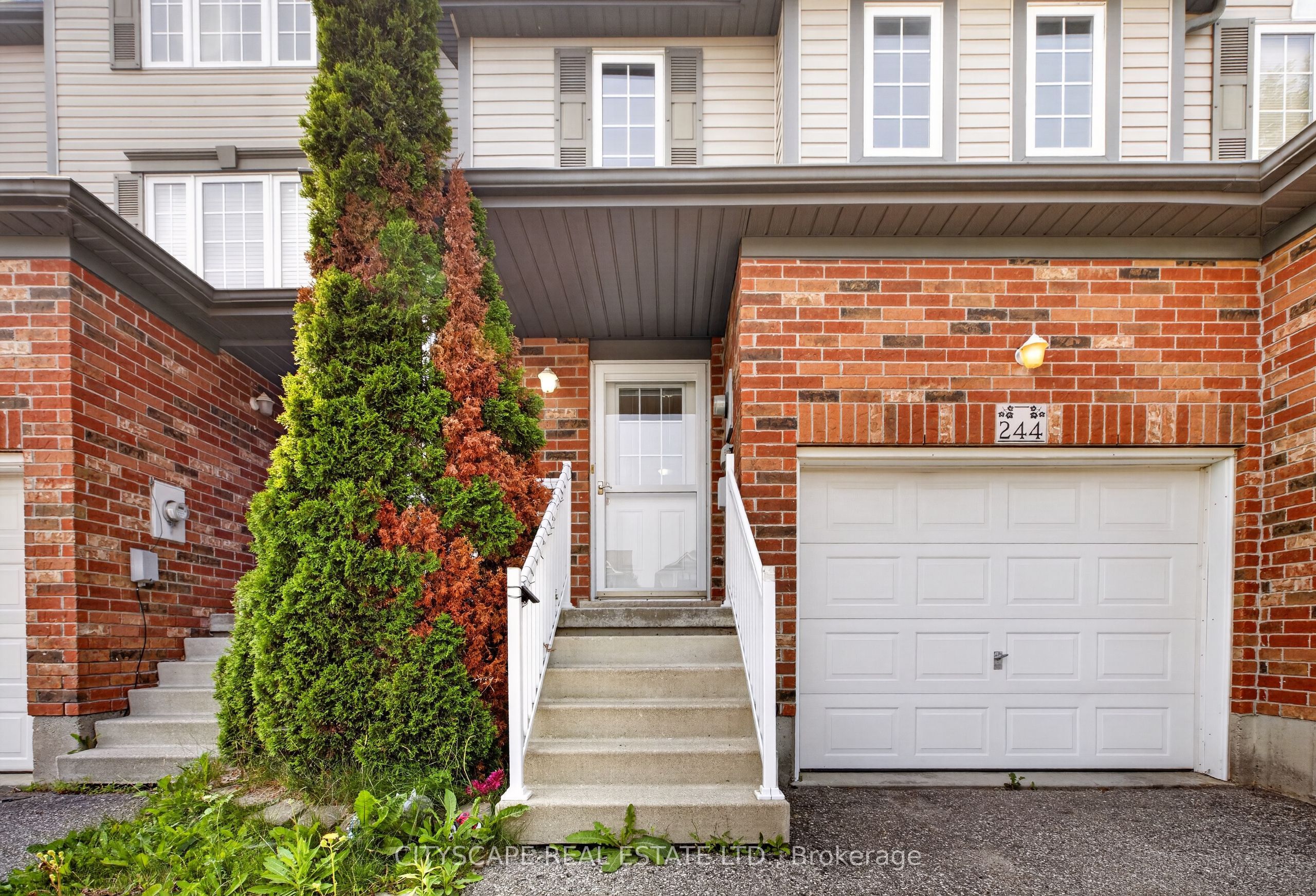 244 Sophia Crescent, Kitchener, ON N2R 1X8 photo 4