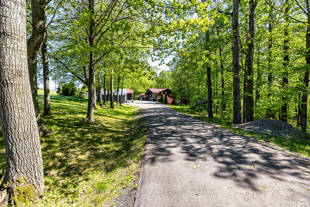 601 Clouston Road, Alnwick/Haldimand, ON K0K 1C0