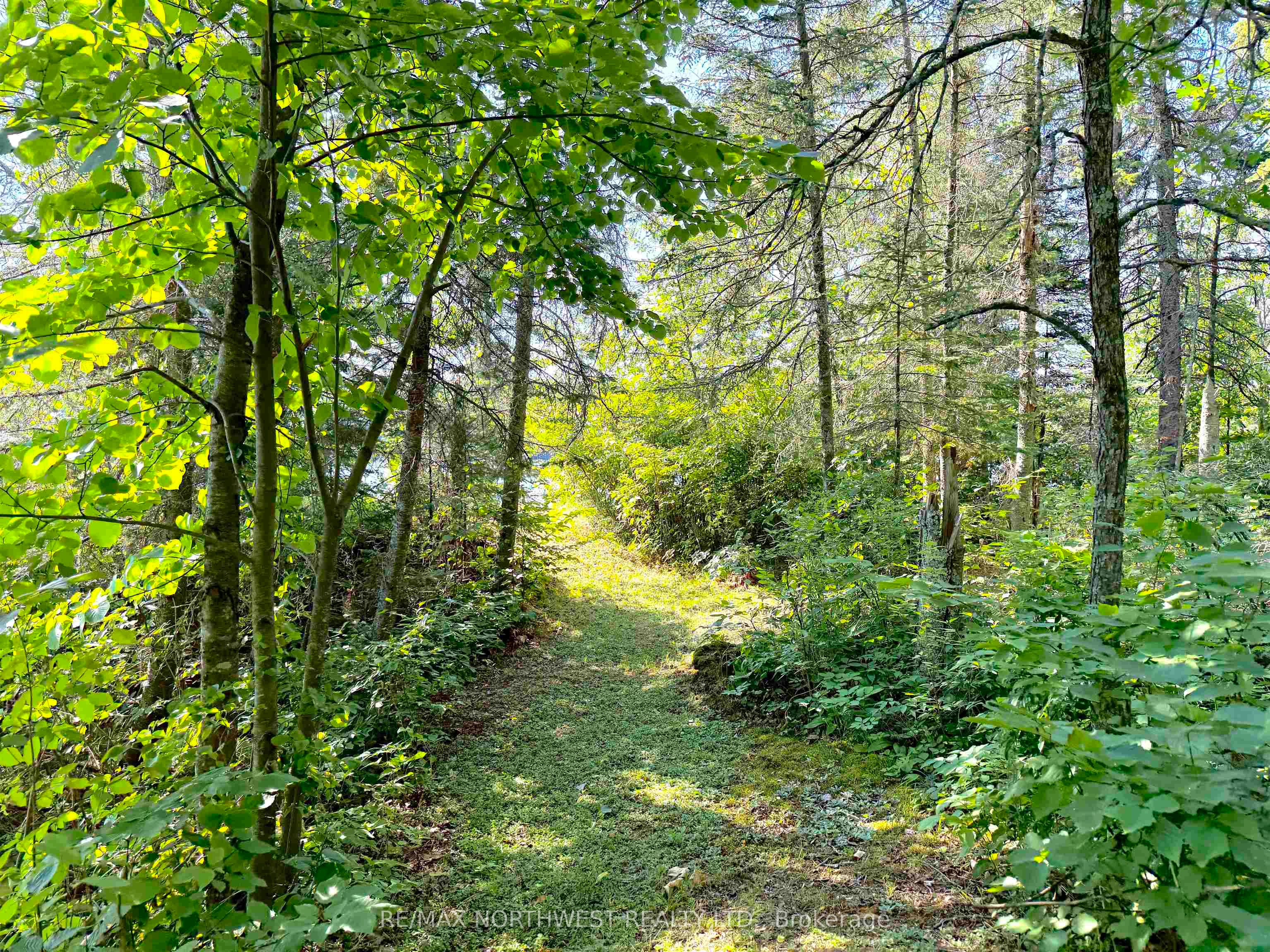 PART 3 TRANQUIL ISLAND, Kenora Remote Area, ON P0X 1C0 photo 5