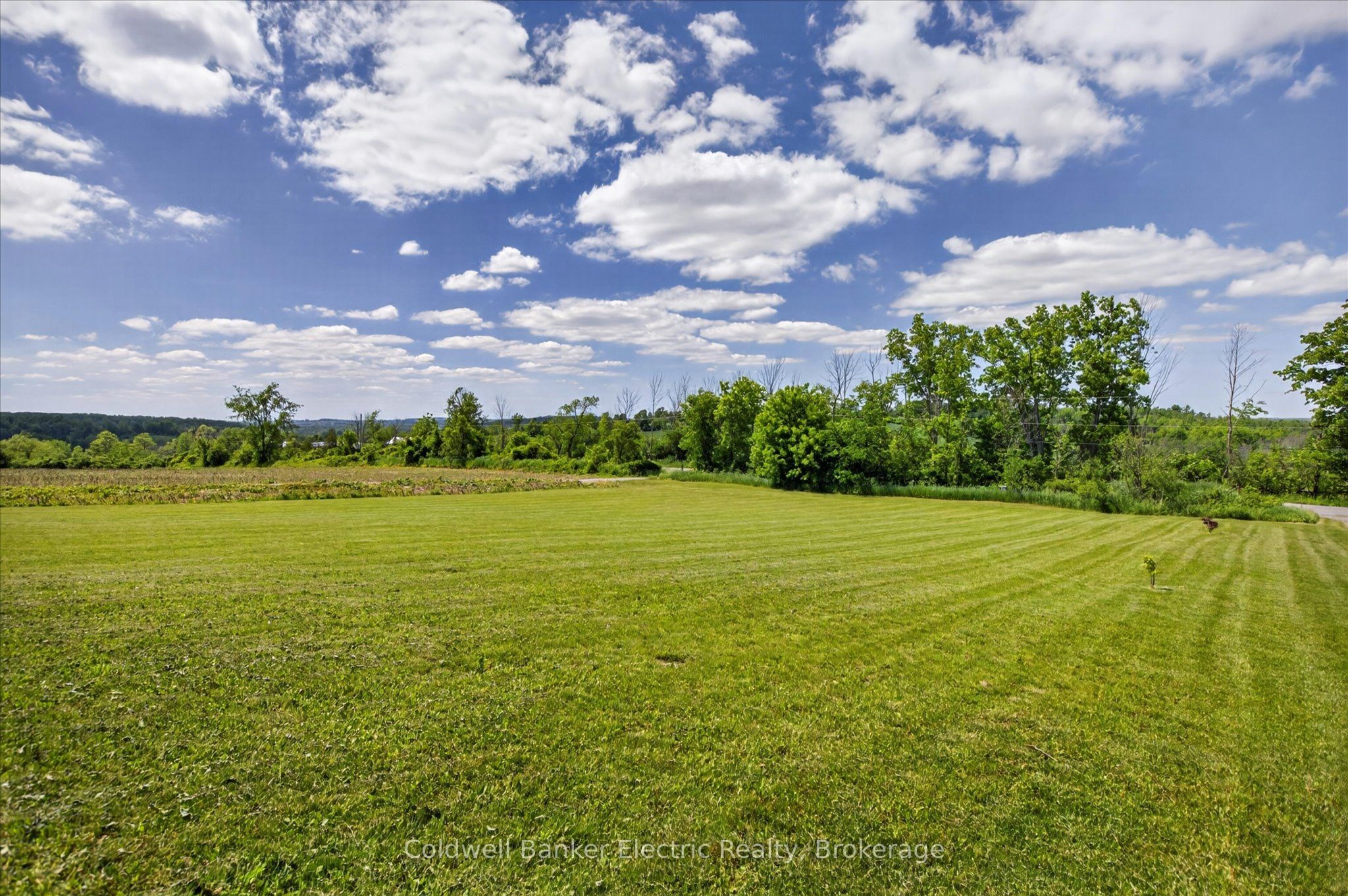 487 11th Concession W, Trent Hills, ON K0L 1Y0 photo 4