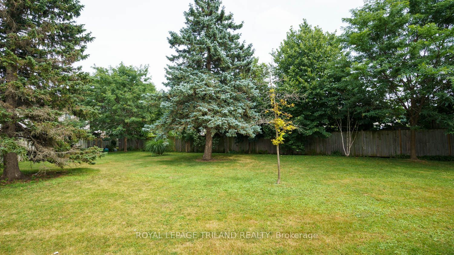 1600 Culver Drive 32, London East, ON N5V 3H5 photo 3