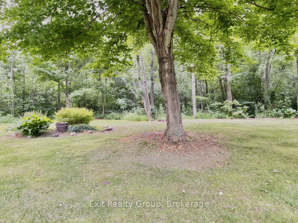 15369 Little Lake Road, Brighton, ON K0K 1H0 photo 3