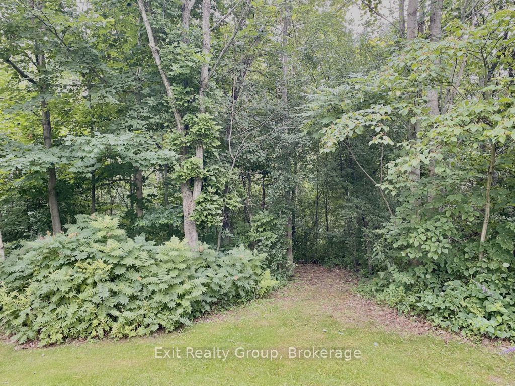 15369 Little Lake Road, Brighton, ON K0K 1H0 photo 5