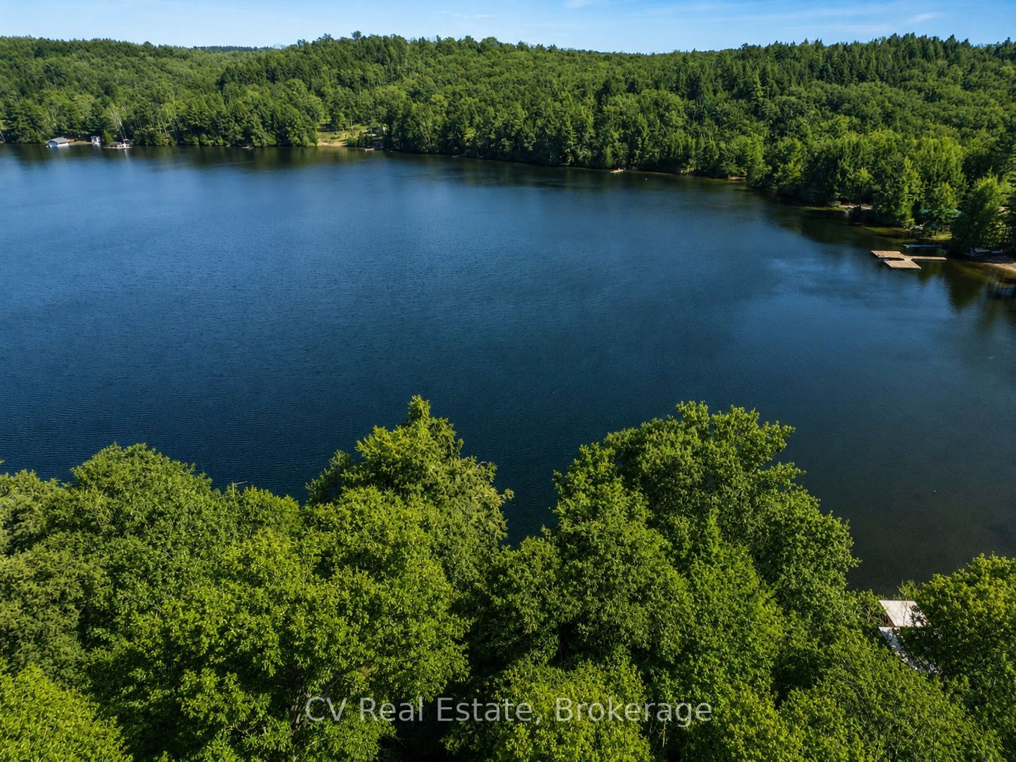 1117 Bert Sims Road N 5, Muskoka Lakes, ON P0B 1M0 photo 2