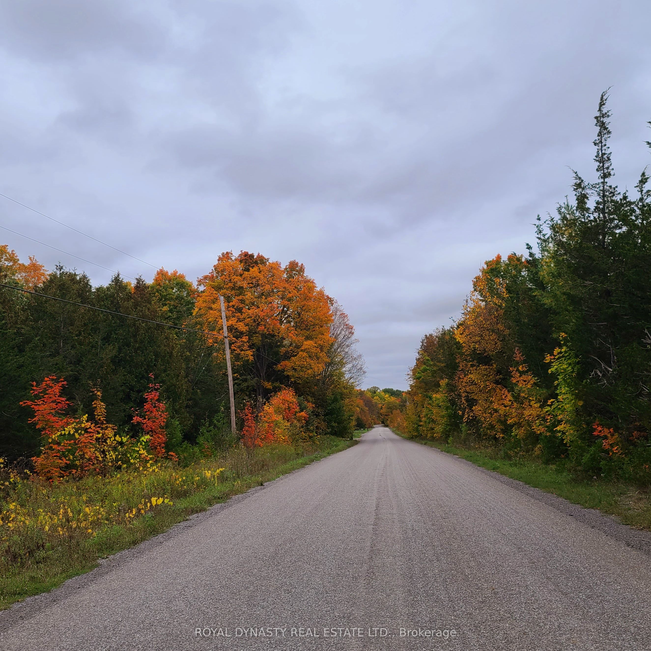 509 SAWMILL Road, Douro-Dummer, ON K0L 2H0 photo 2