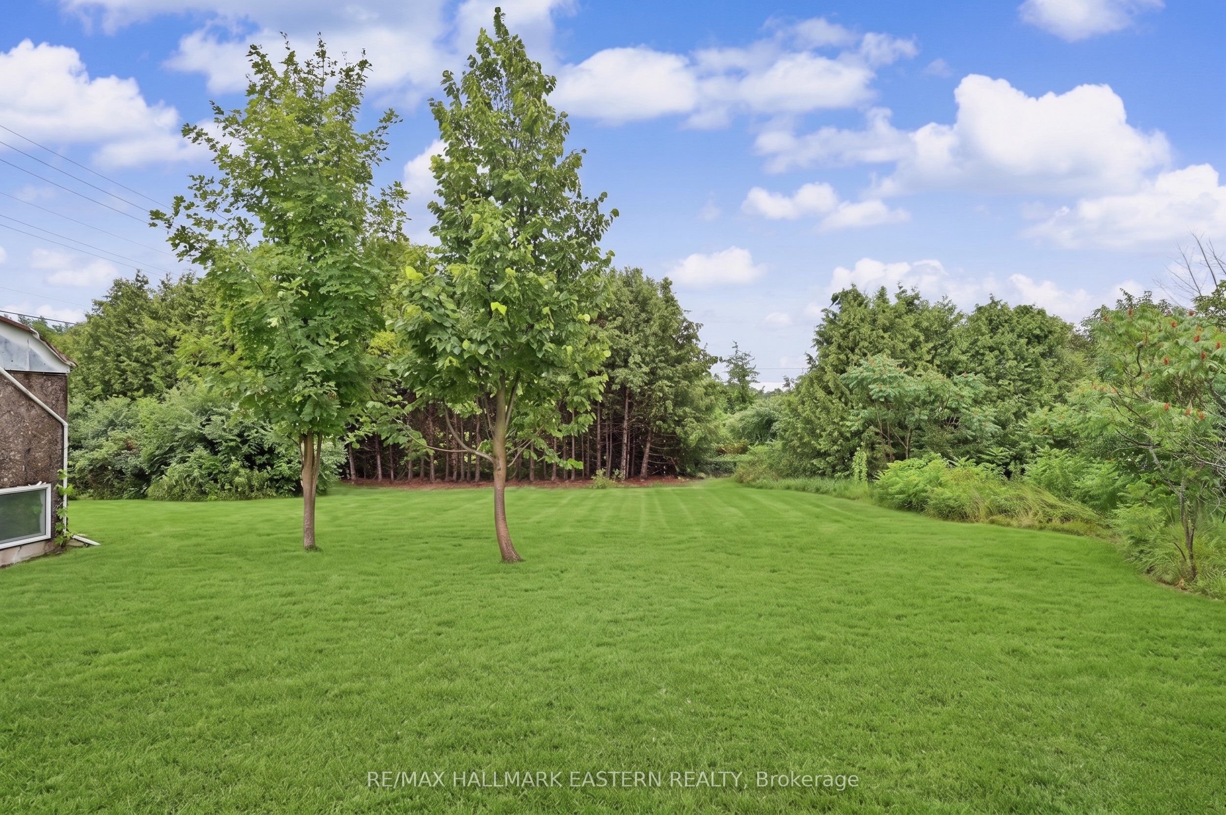 2260 Buckhorn Road, Selwyn, ON K0L 2H0 photo 3