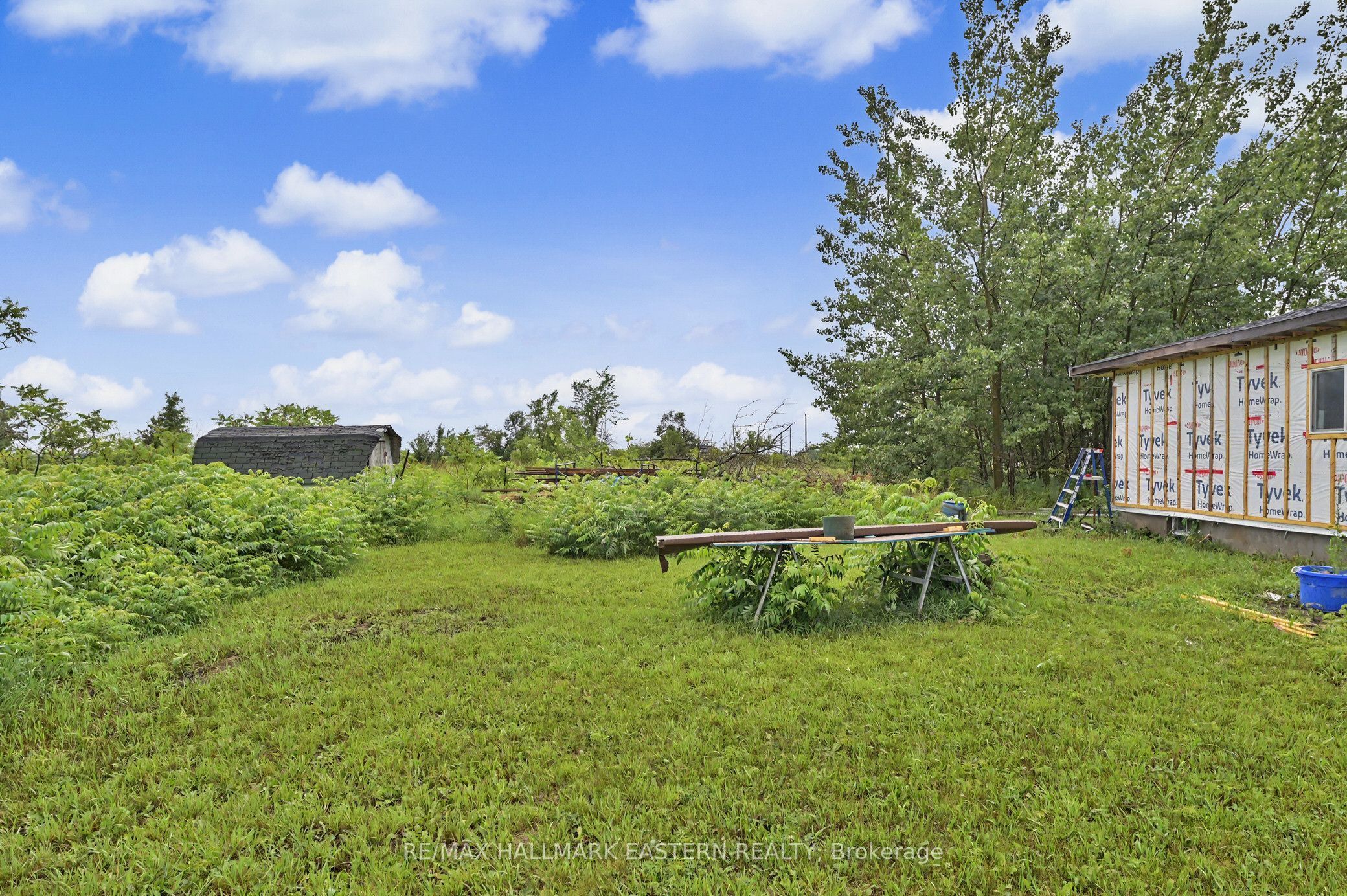 2260 Buckhorn Road, Selwyn, ON K0L 2H0 photo 5