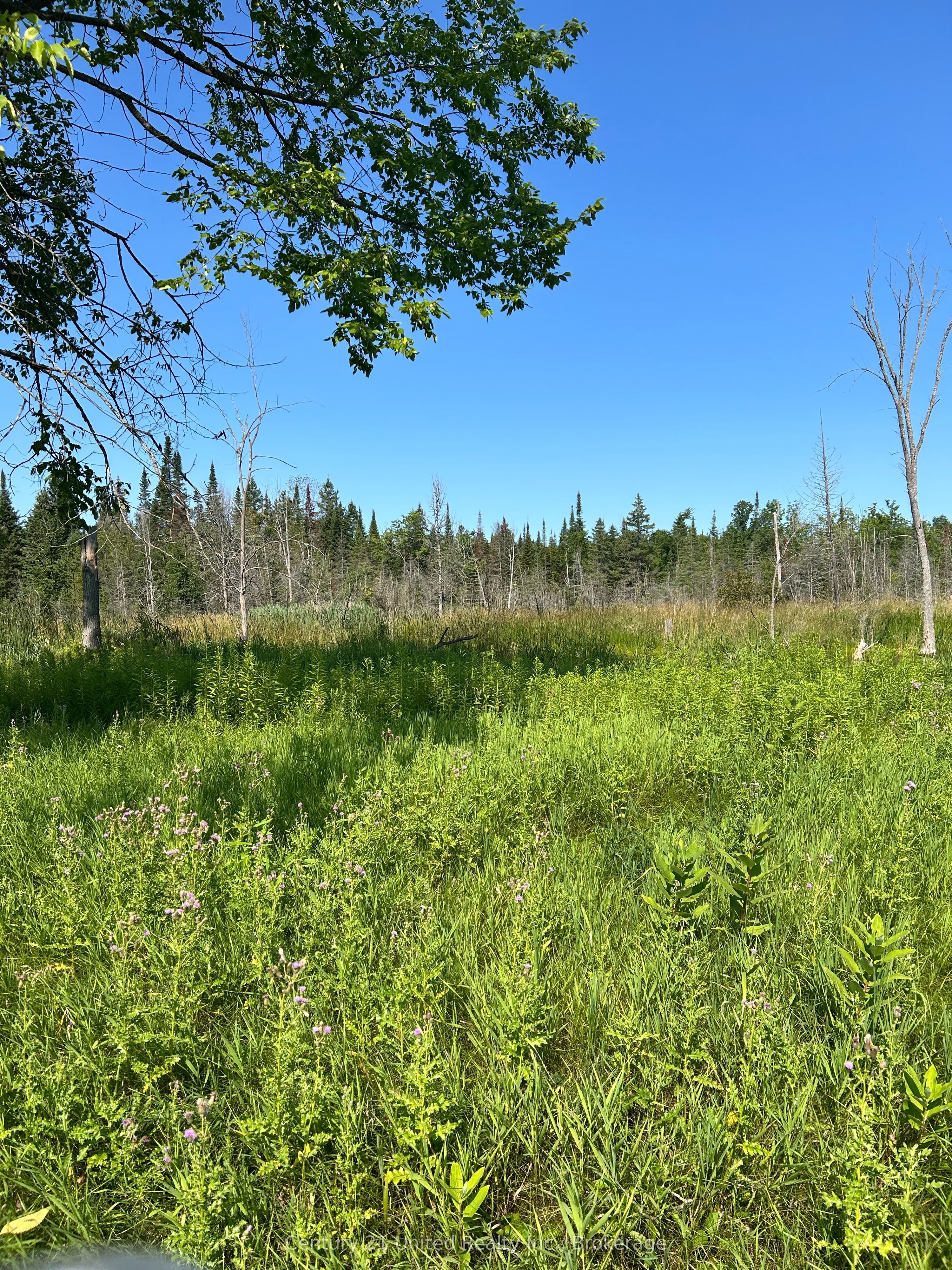 00 Highway 7 N/A, Marmora and Lake, ON K0K 2M0 photo 5