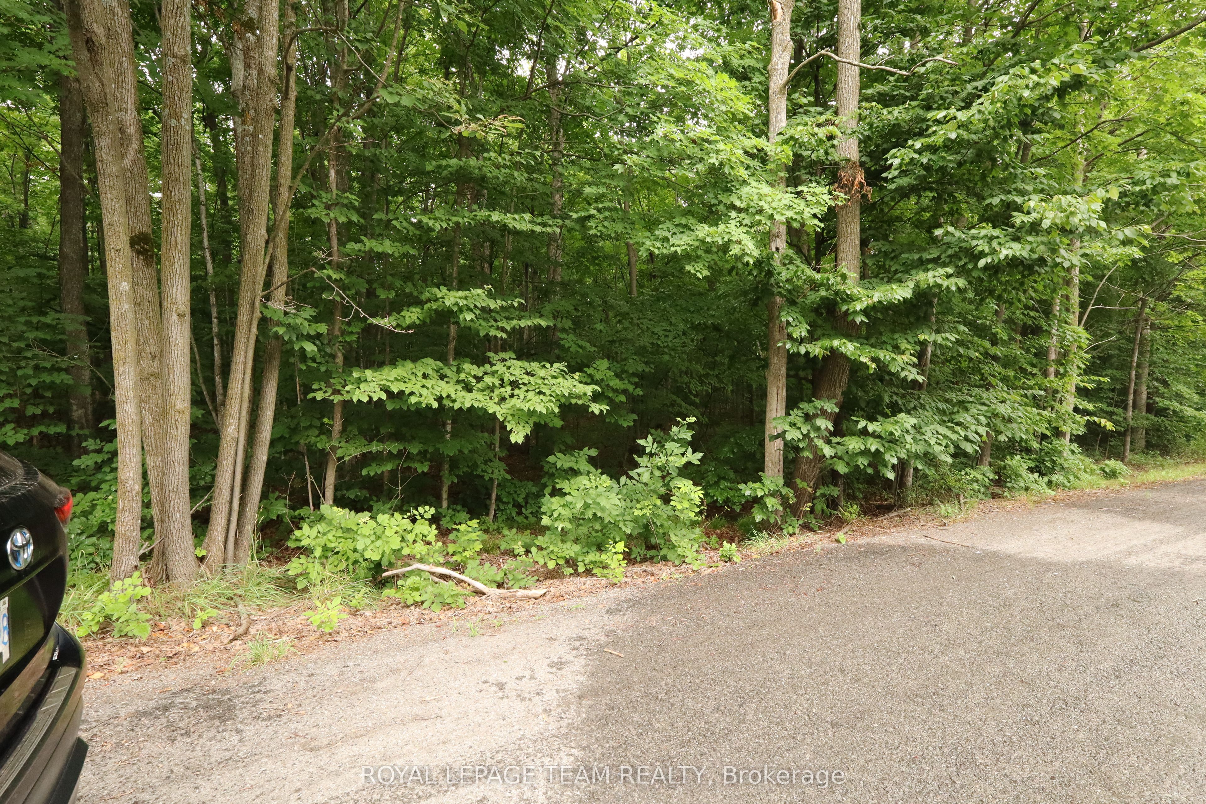 Pt 1 8R4035 Ronson Road, North Dundas, ON K0E 1S0
