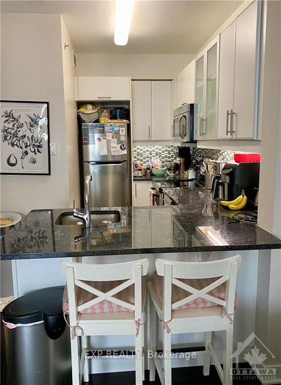 300A LETT Street 503, West Centre Town, ON K1R 0A8 photo 4
