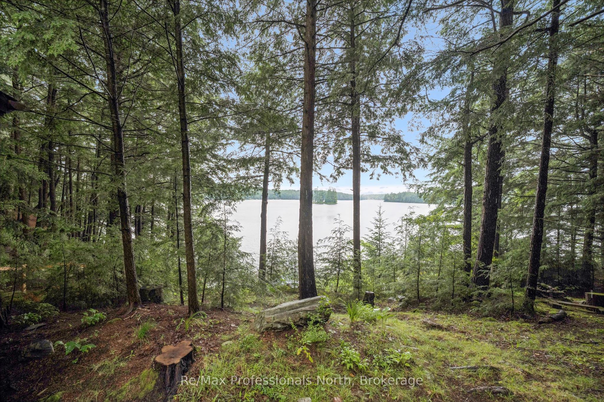 1271 Staunton Road, Bracebridge, ON P1L 1X3 photo 4