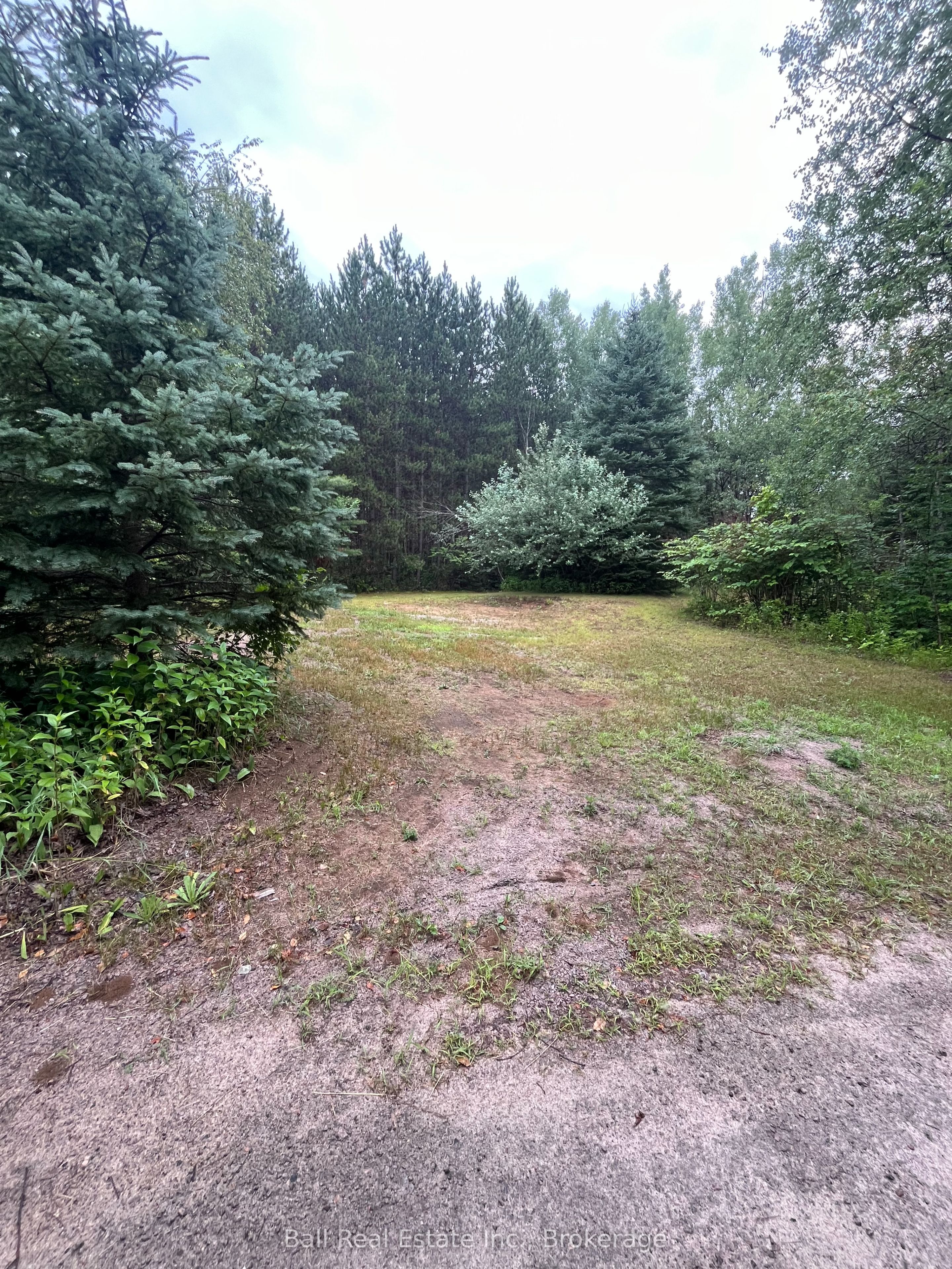 540 Rose Island Road, Wollaston, ON K0L 1P0 photo 4