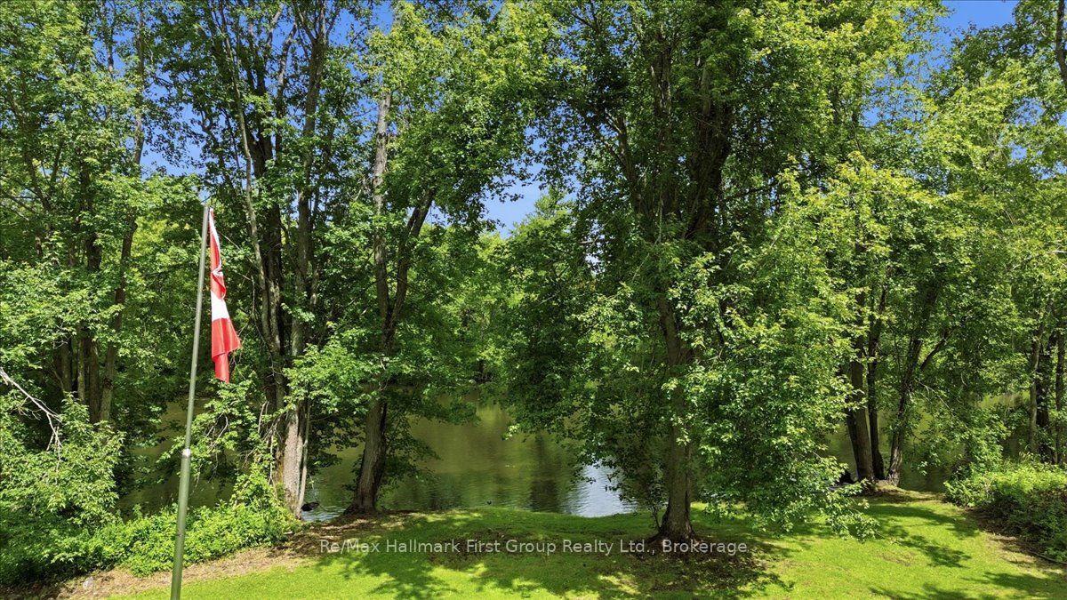 888 Bronson Rapids Road, Stirling-Rawdon, ON K0K 3C0 photo 5