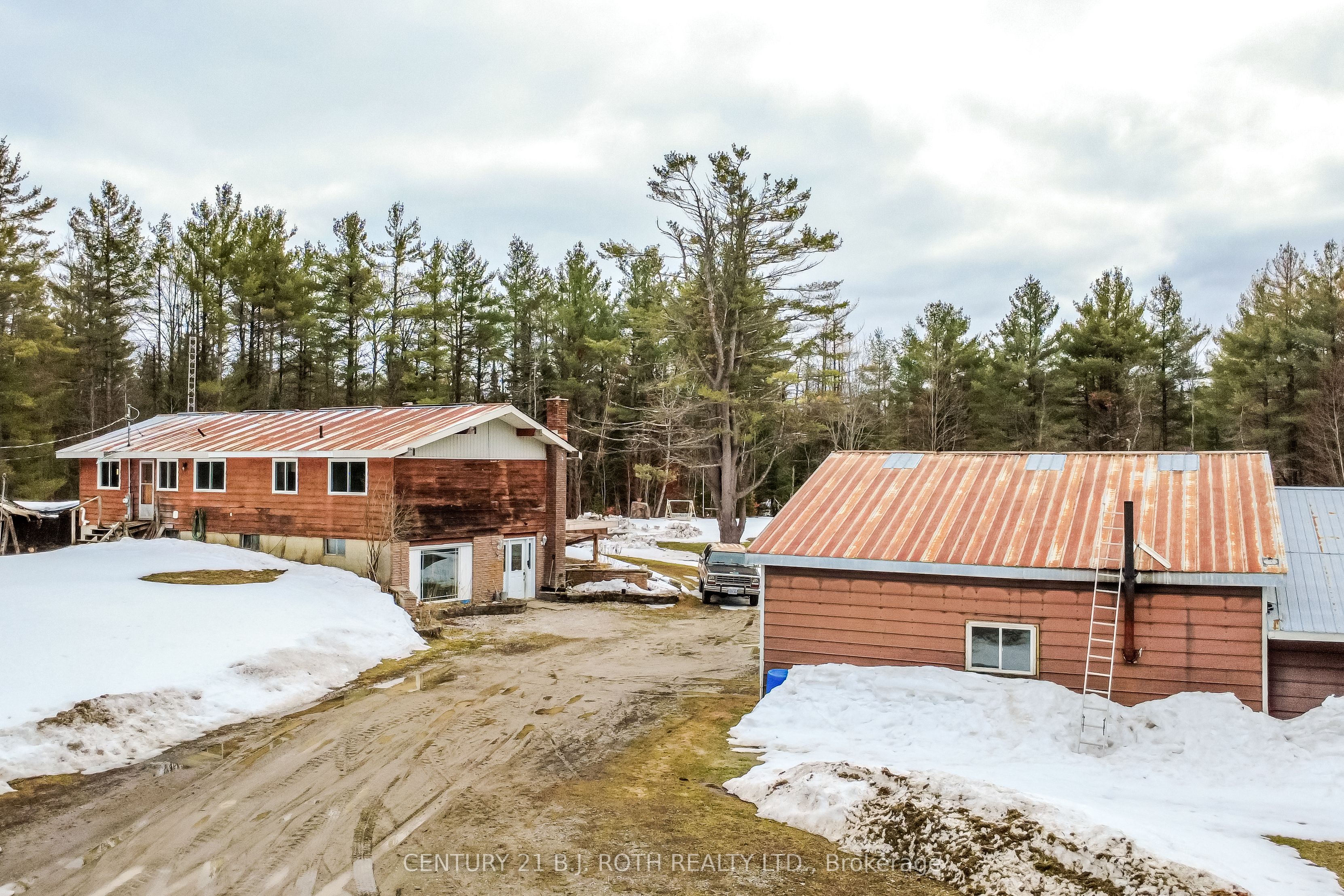 444 Monck Road, Kawartha Lakes, ON L0K 1W0 photo 3