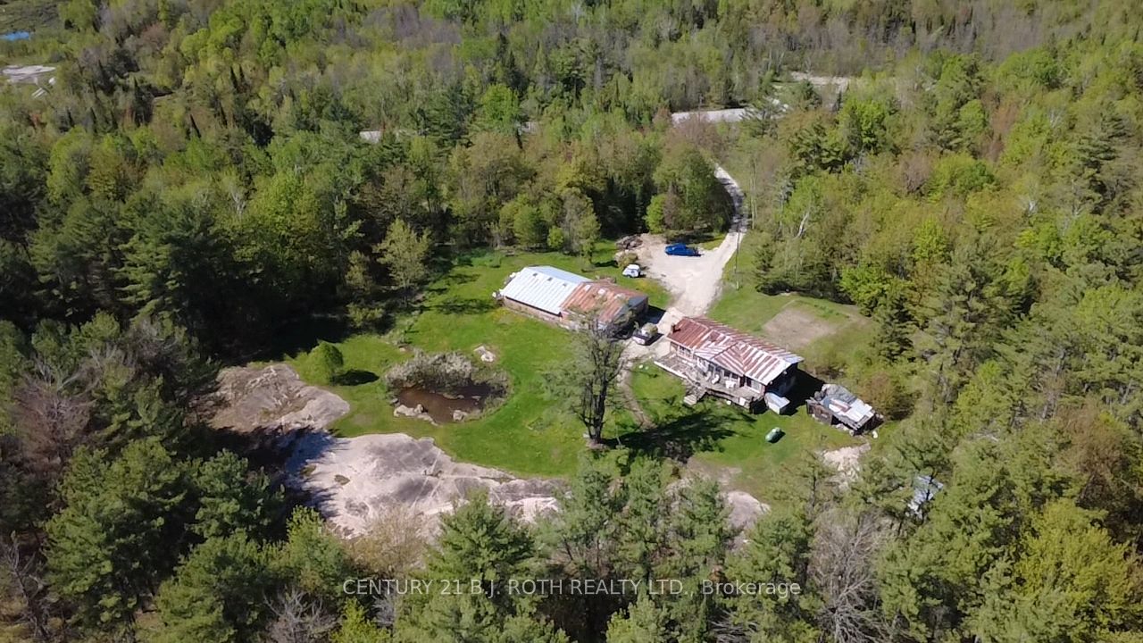 444 Monck Road, Kawartha Lakes, ON L0K 1W0 photo 5