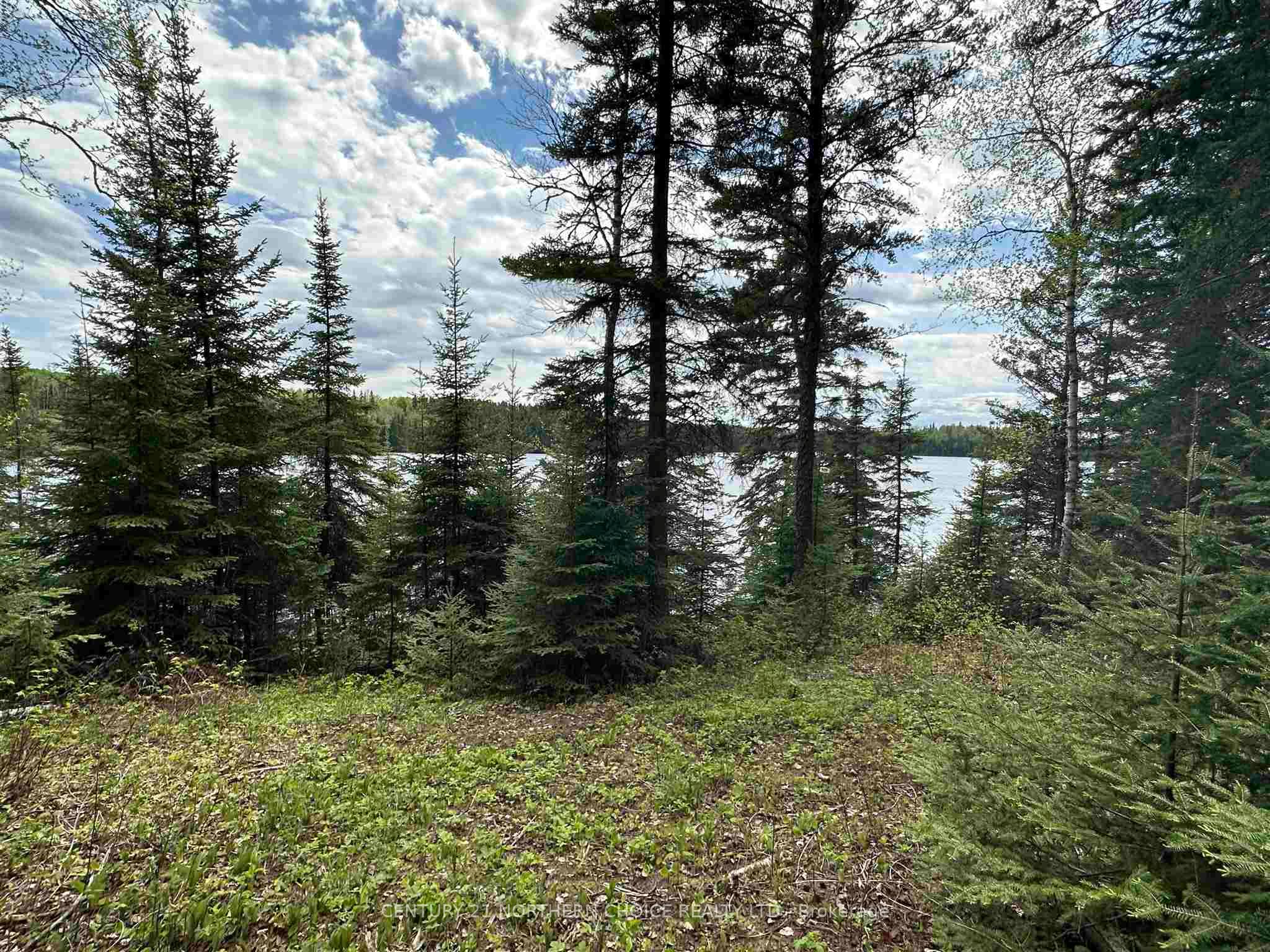Pt 1 & 3 Snib, Red Lake, ON P0V 2M0 photo 2
