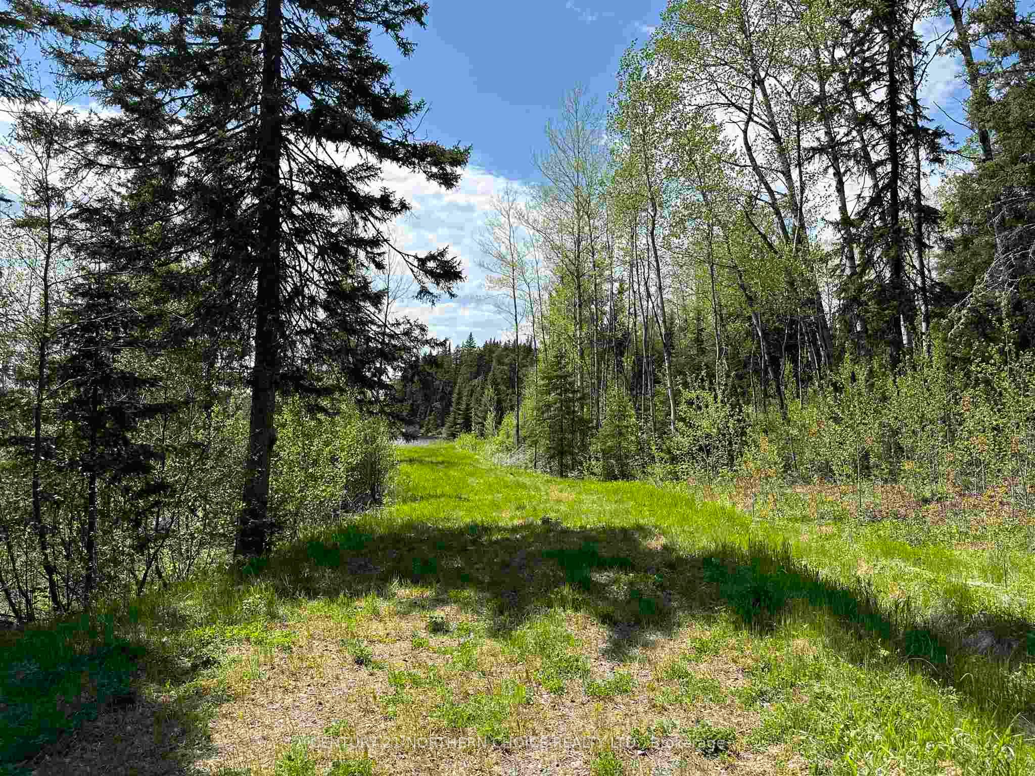 Pt 2 & 4 Snib, Red Lake, ON P0V 2M0 photo 2