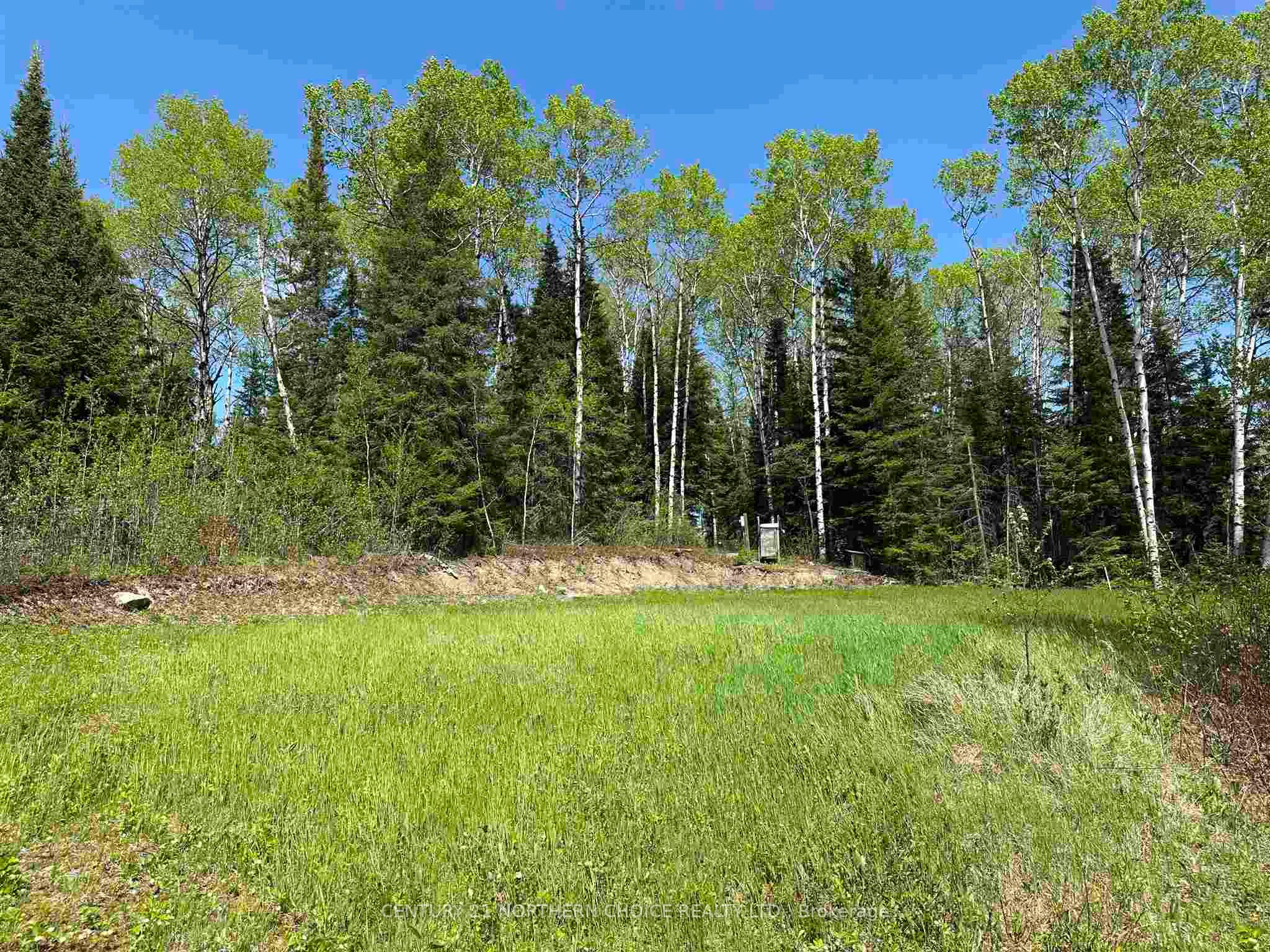 Pt 2 & 4 Snib, Red Lake, ON P0V 2M0 photo 3