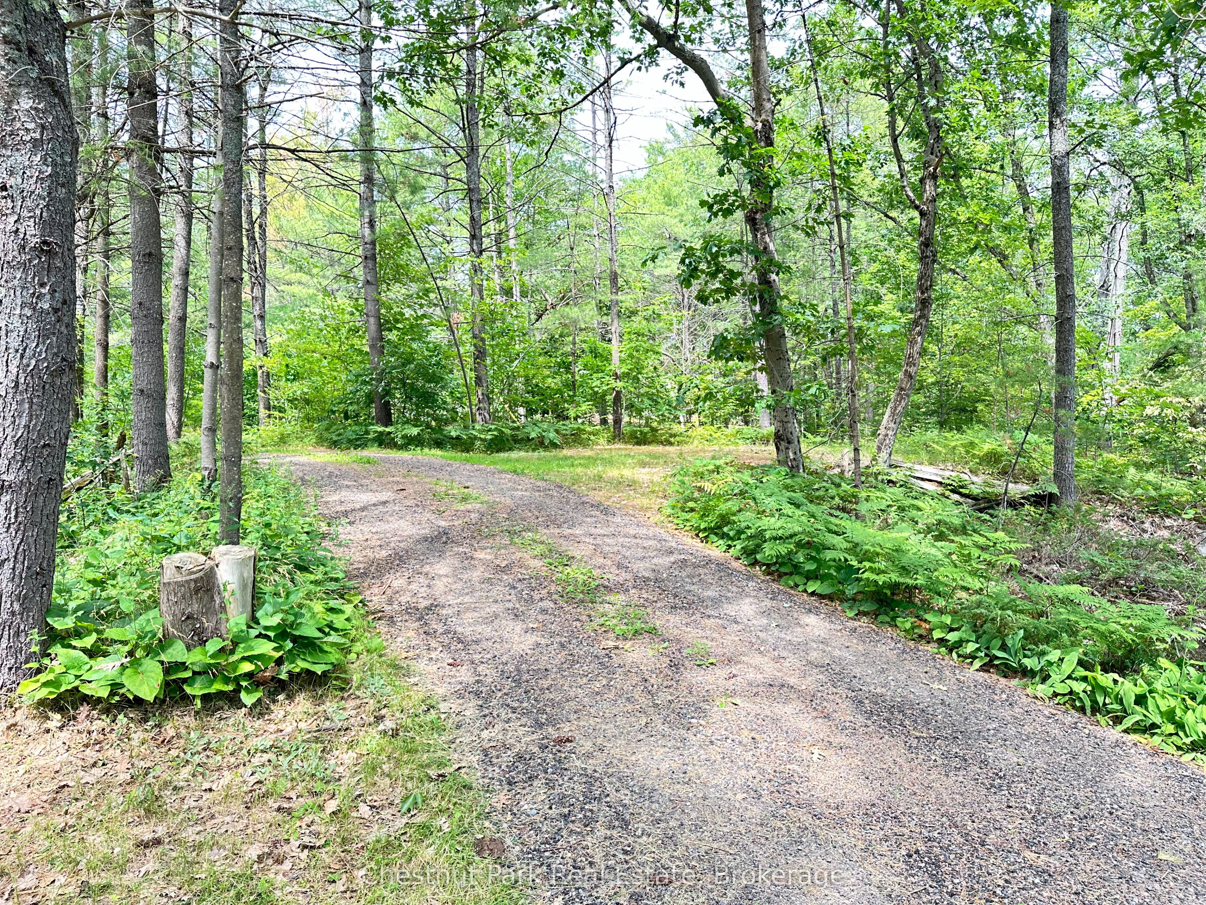 664 Deepwater Drive, Gravenhurst, ON P1P 1R2 photo 4