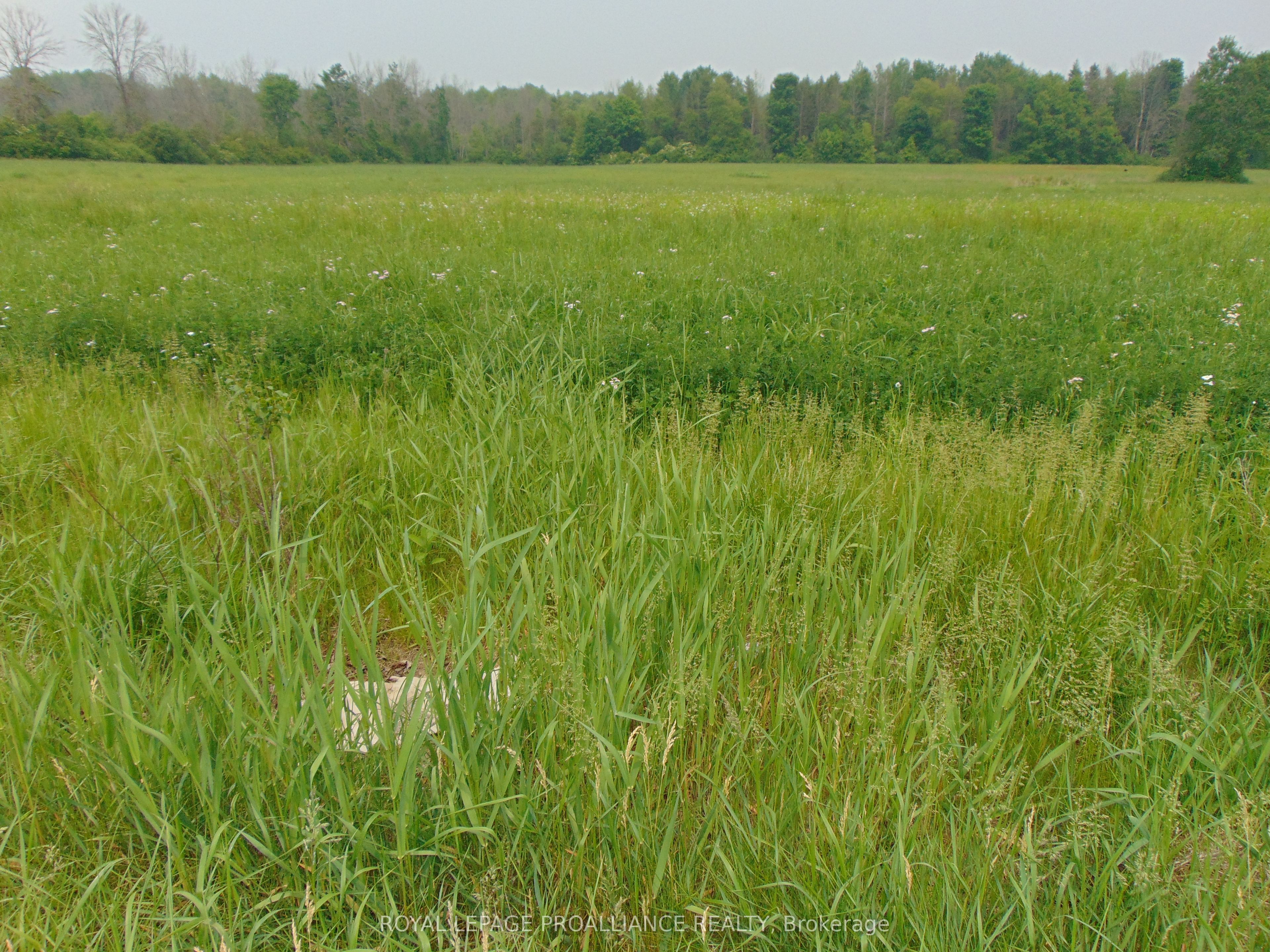 00 Charleville Road N, Augusta, ON K0E 1T0