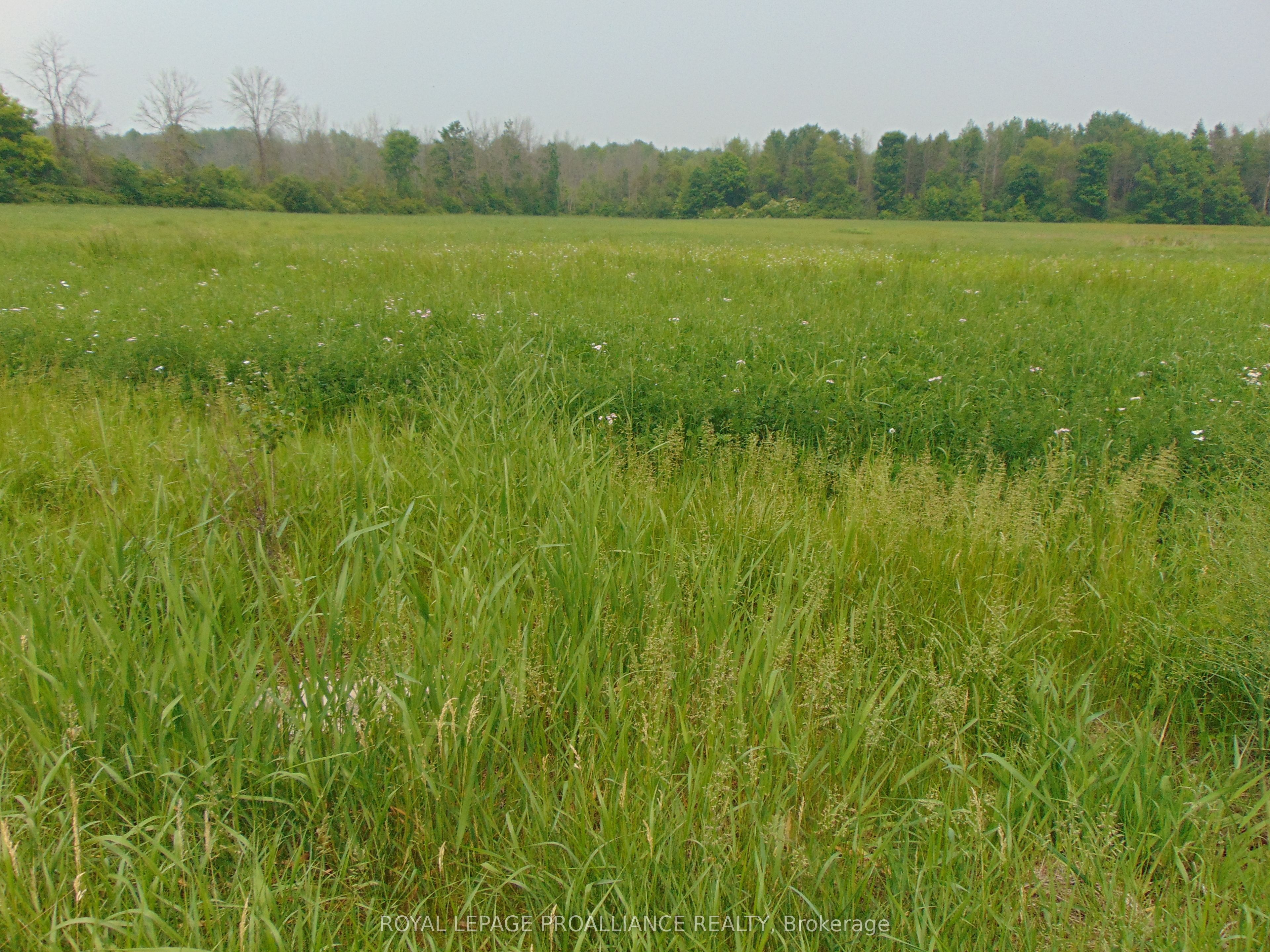 00 Charleville Road N, Augusta, ON K0E 1T0 photo 3