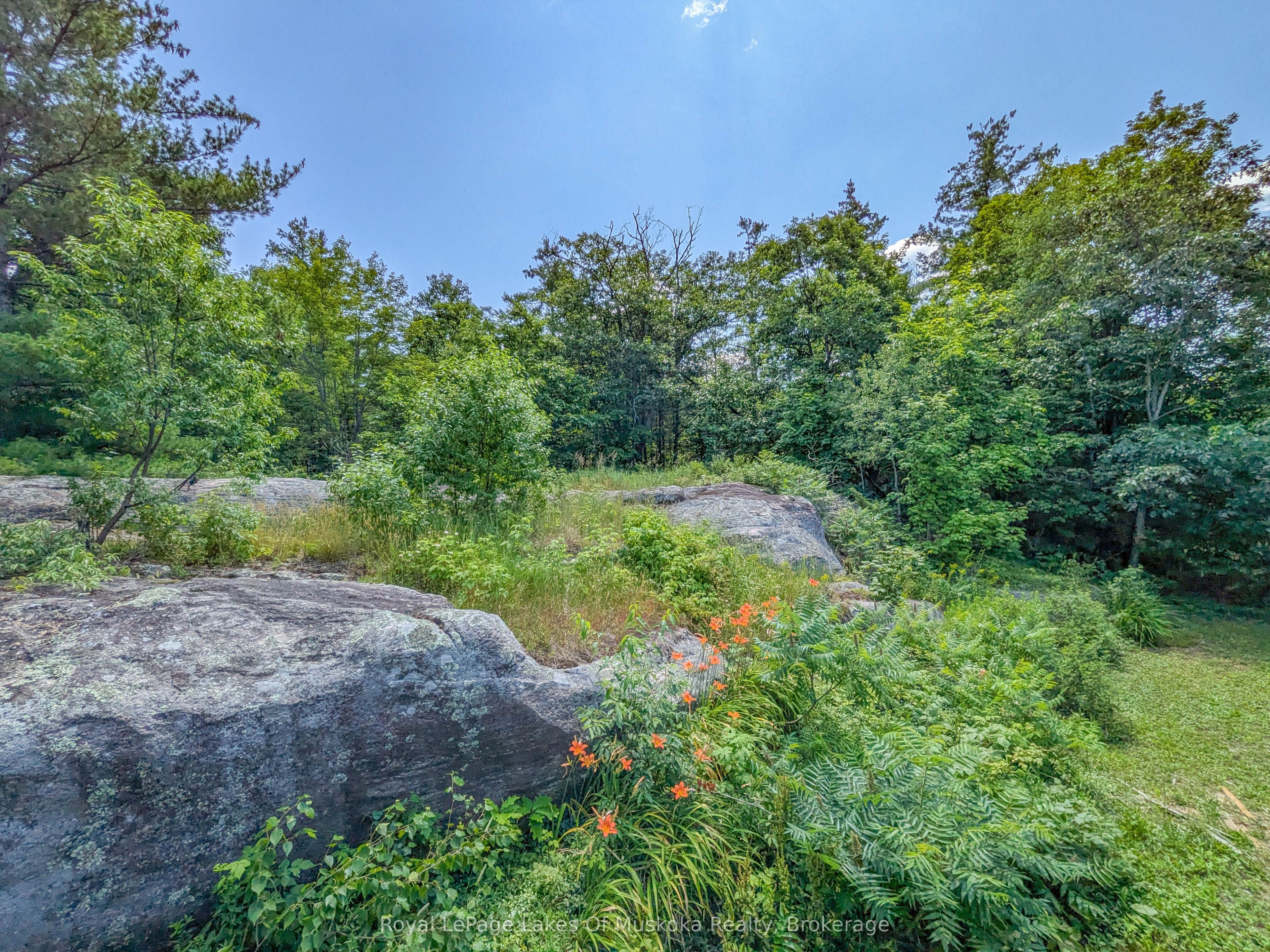 1314 Winhara Road, Gravenhurst, ON P1P 1R1 photo 2