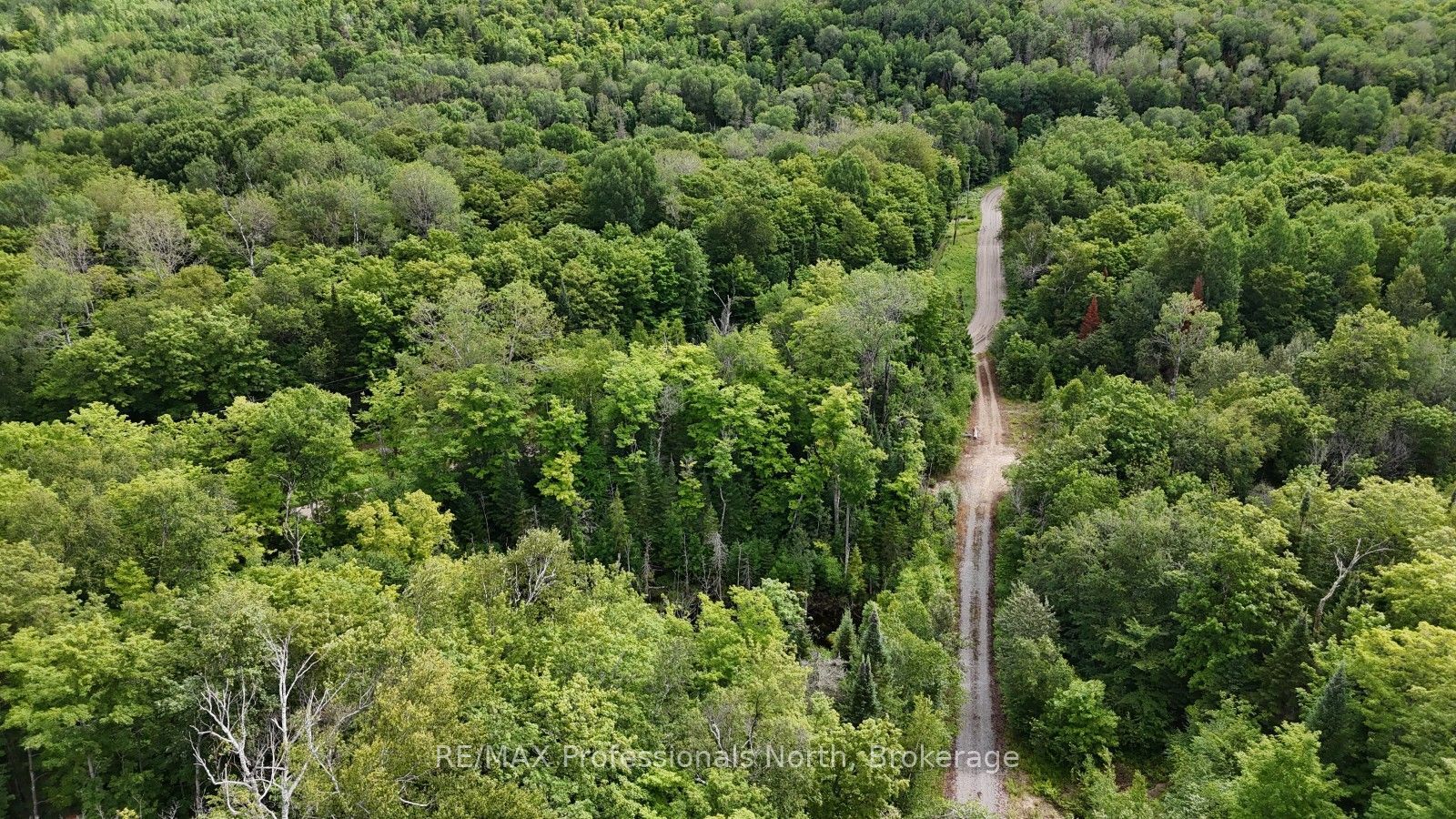 1199 Cedar Lake Road, Highlands East, ON K0L 3C0