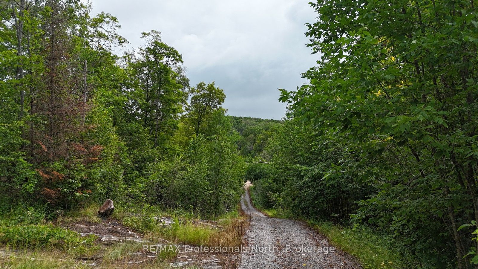 1199 Cedar Lake Road, Highlands East, ON K0L 3C0 photo 2