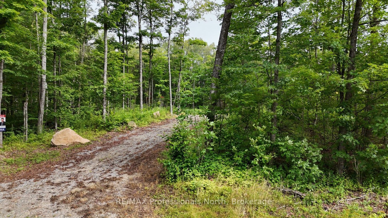 1199 Cedar Lake Road, Highlands East, ON K0L 3C0 photo 3