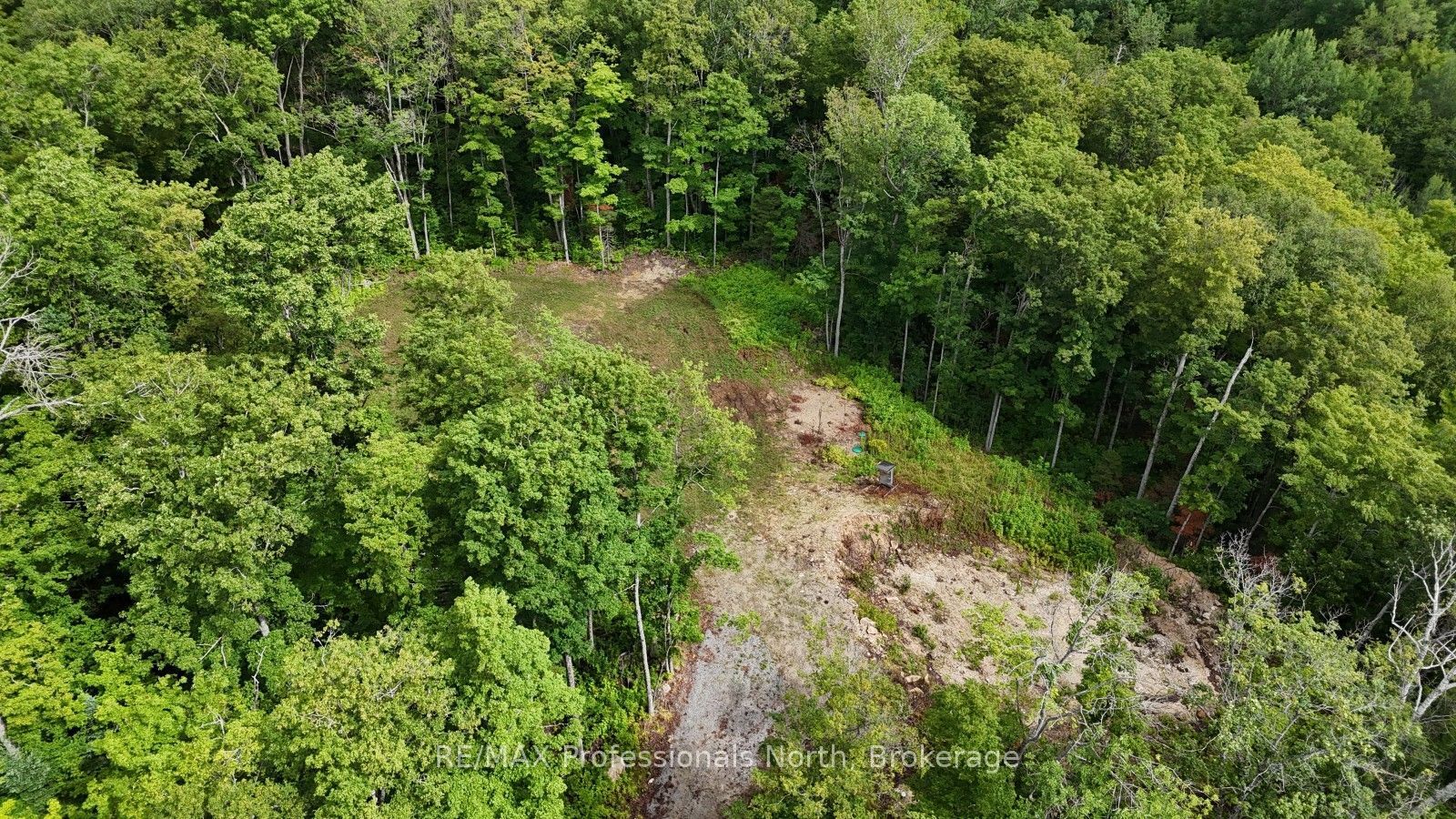 1199 Cedar Lake Road, Highlands East, ON K0L 3C0 photo 4