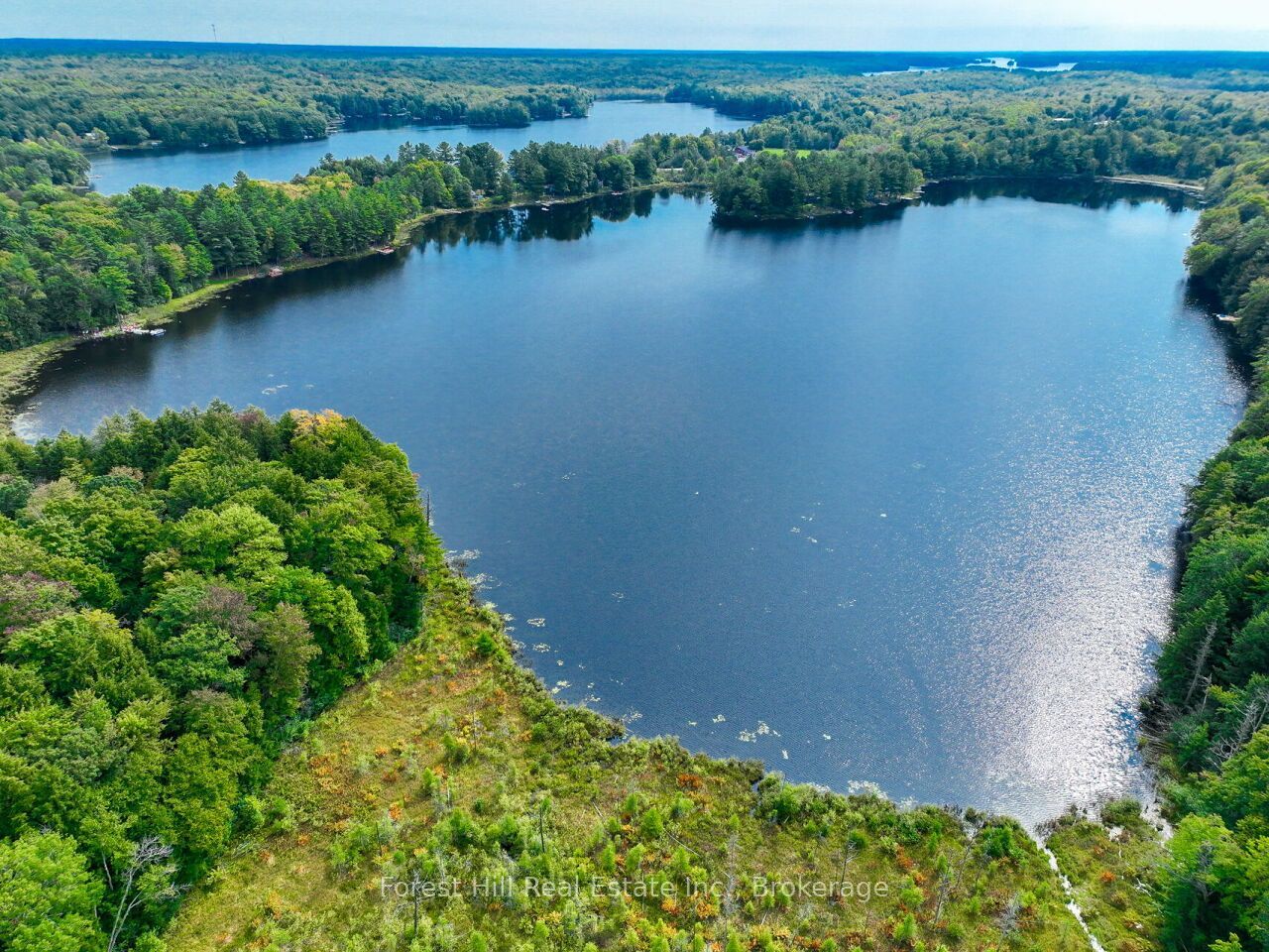 1006 Youngs Road #8, Muskoka Lakes, ON P0B 1J0 photo 2