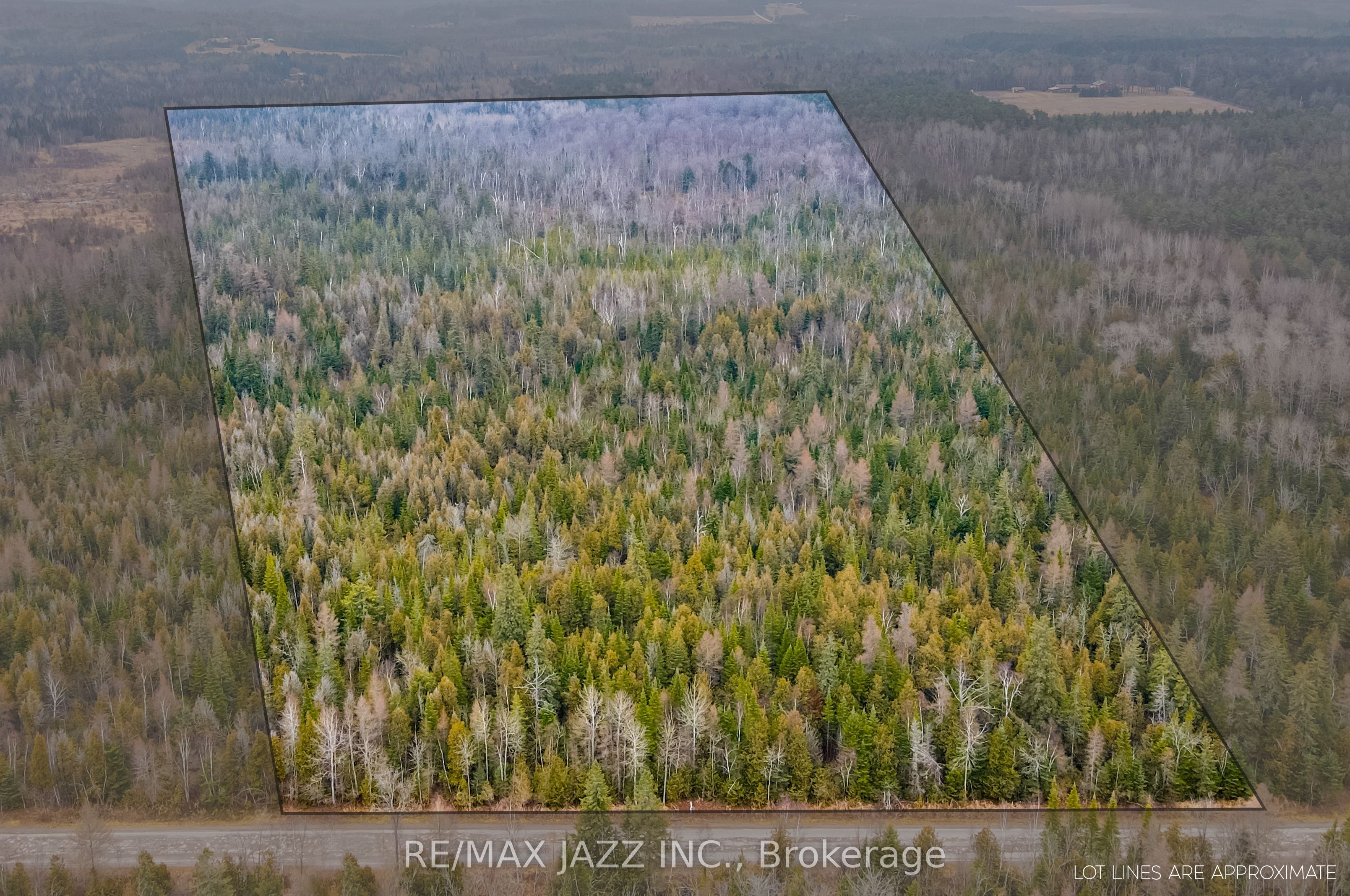 0 Ballyduff Road, Kawartha Lakes, ON L0A 1K0