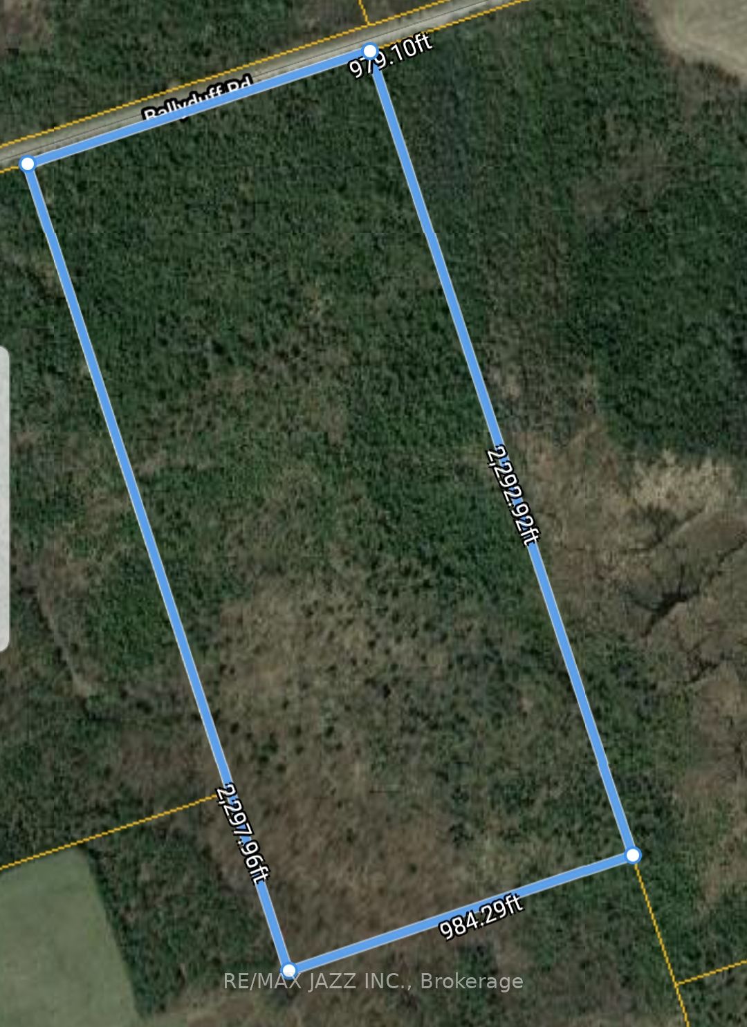 0 Ballyduff Road, Kawartha Lakes, ON L0A 1K0 photo 2