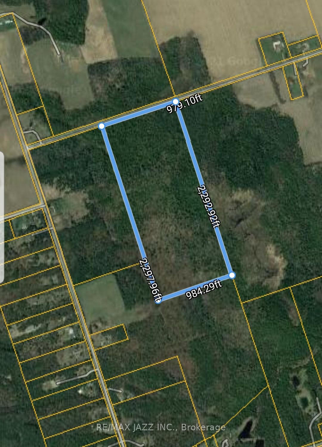 0 Ballyduff Road, Kawartha Lakes, ON L0A 1K0 photo 3